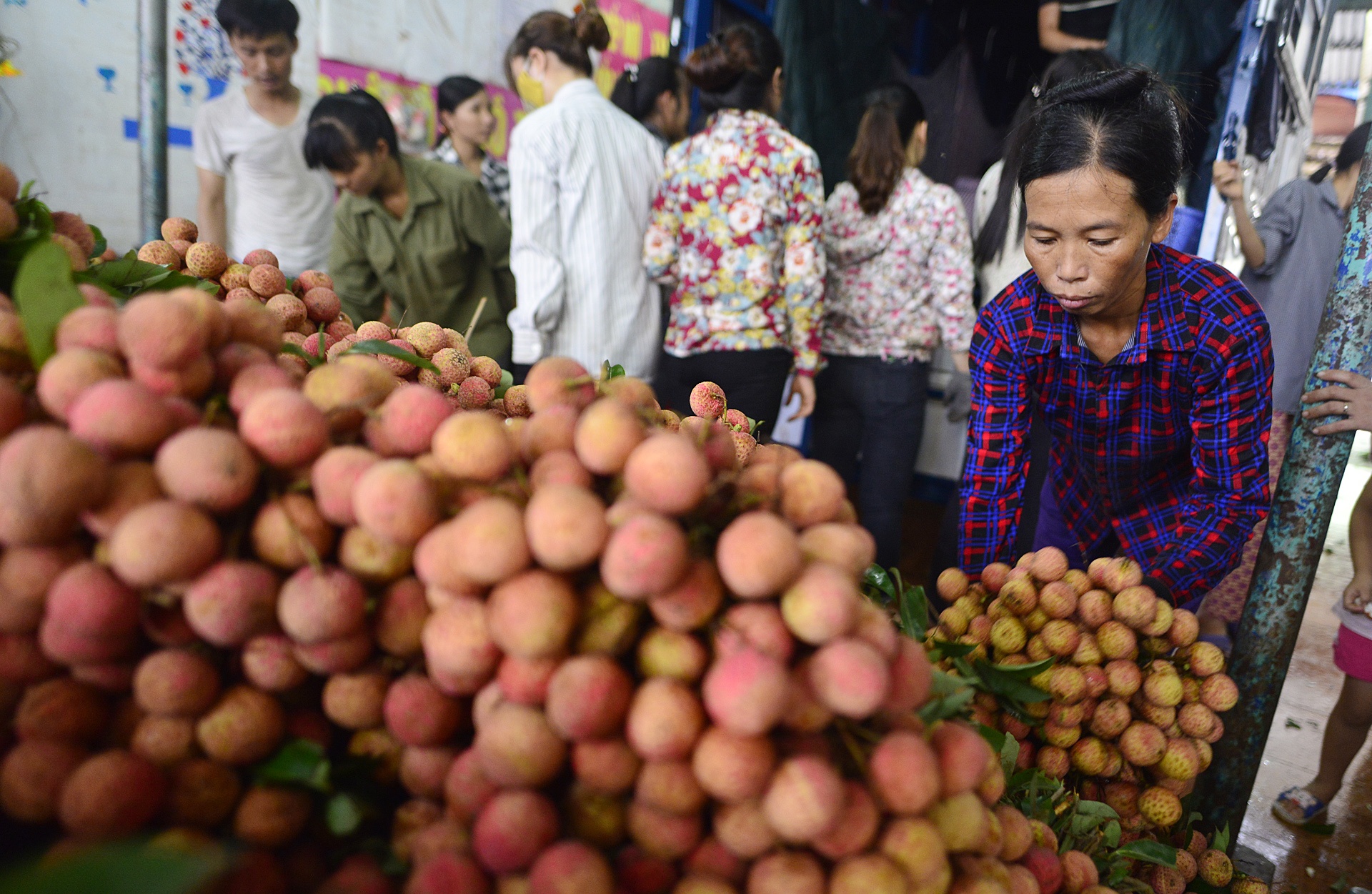 vai thieu Luc Ngan mat mua anh 13