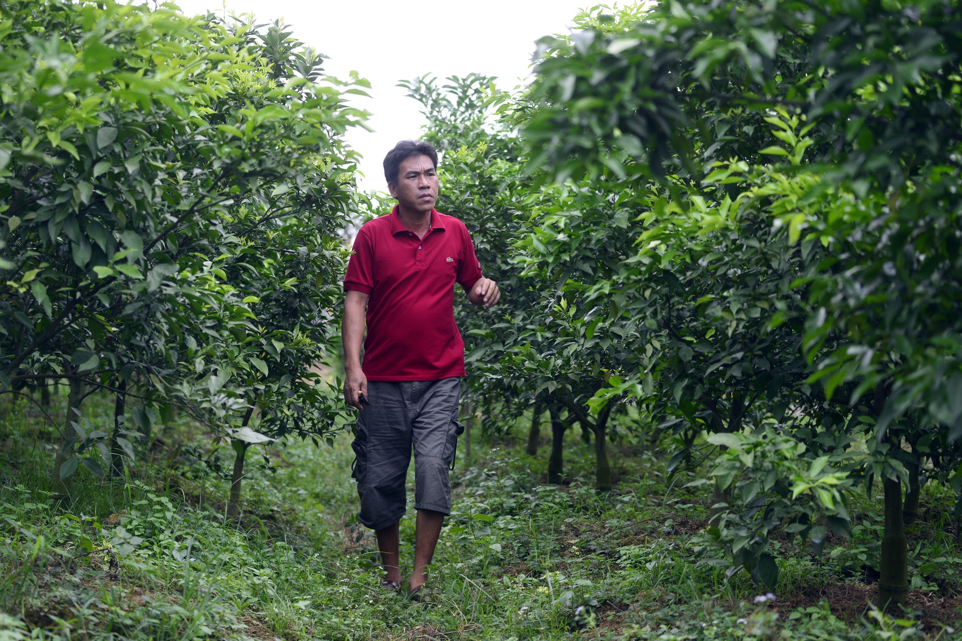 vai thieu Luc Ngan mat mua anh 4