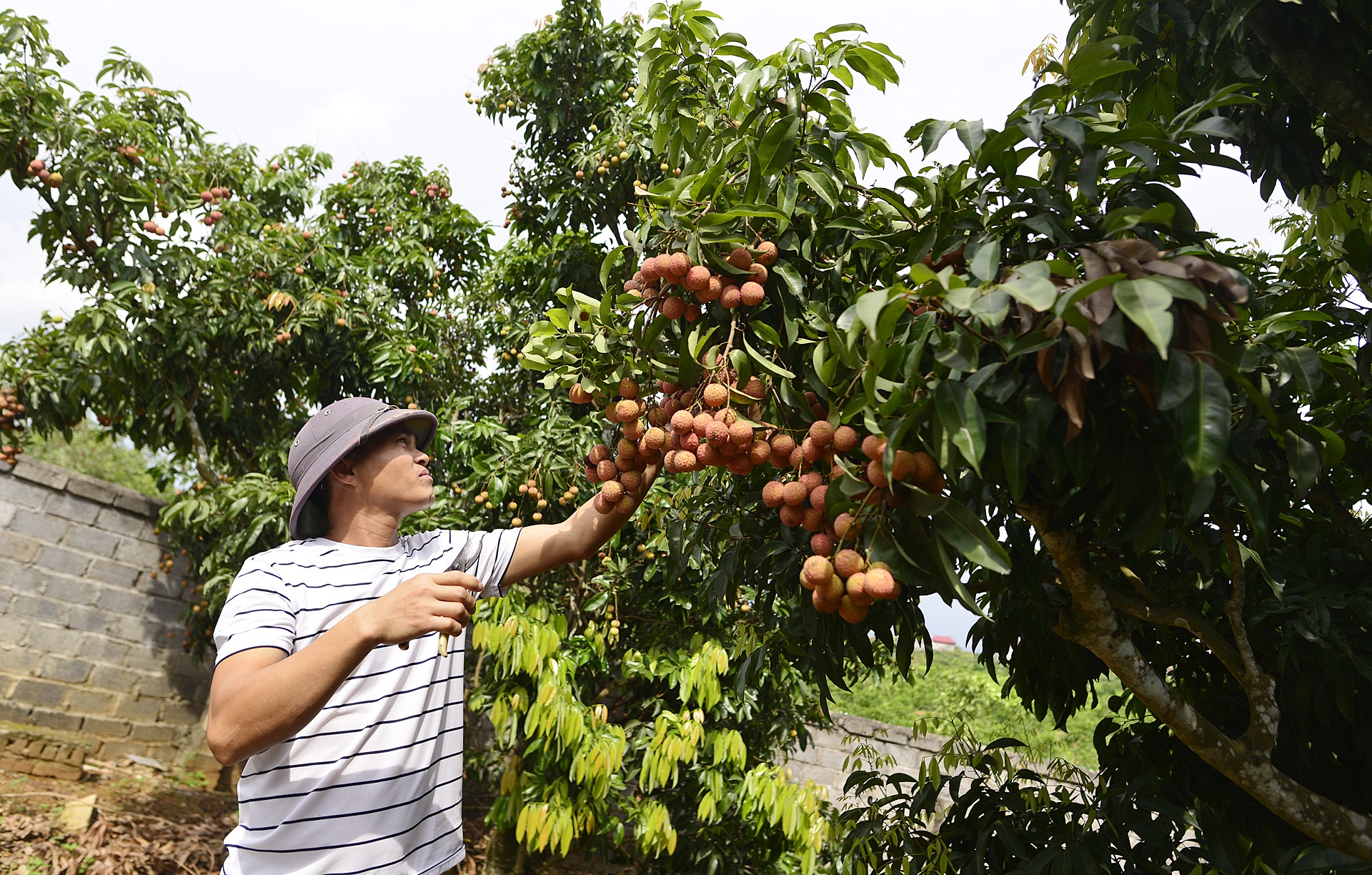 vai thieu Luc Ngan mat mua anh 6