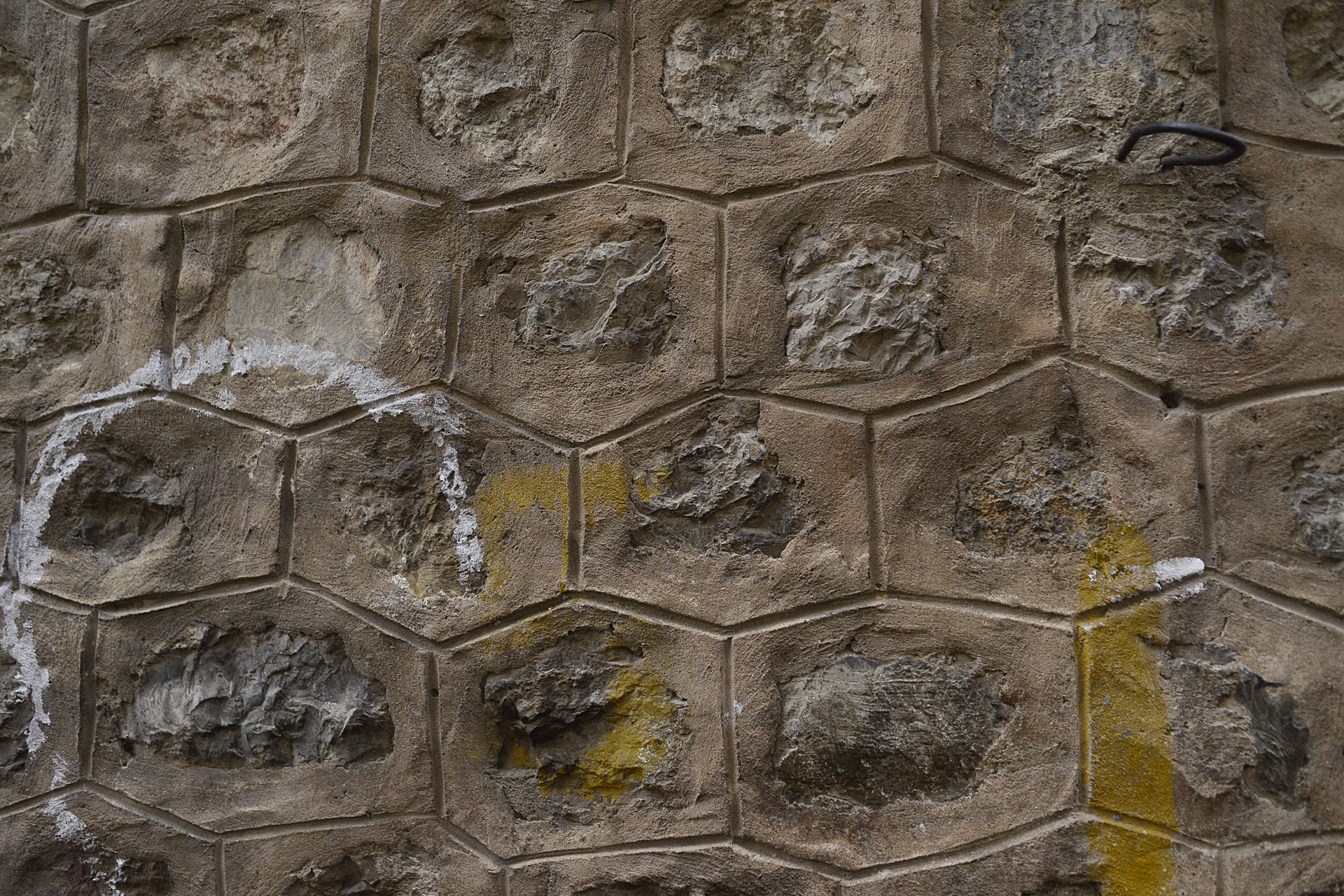 duc thong 131 vom cau Ha Noi anh 5