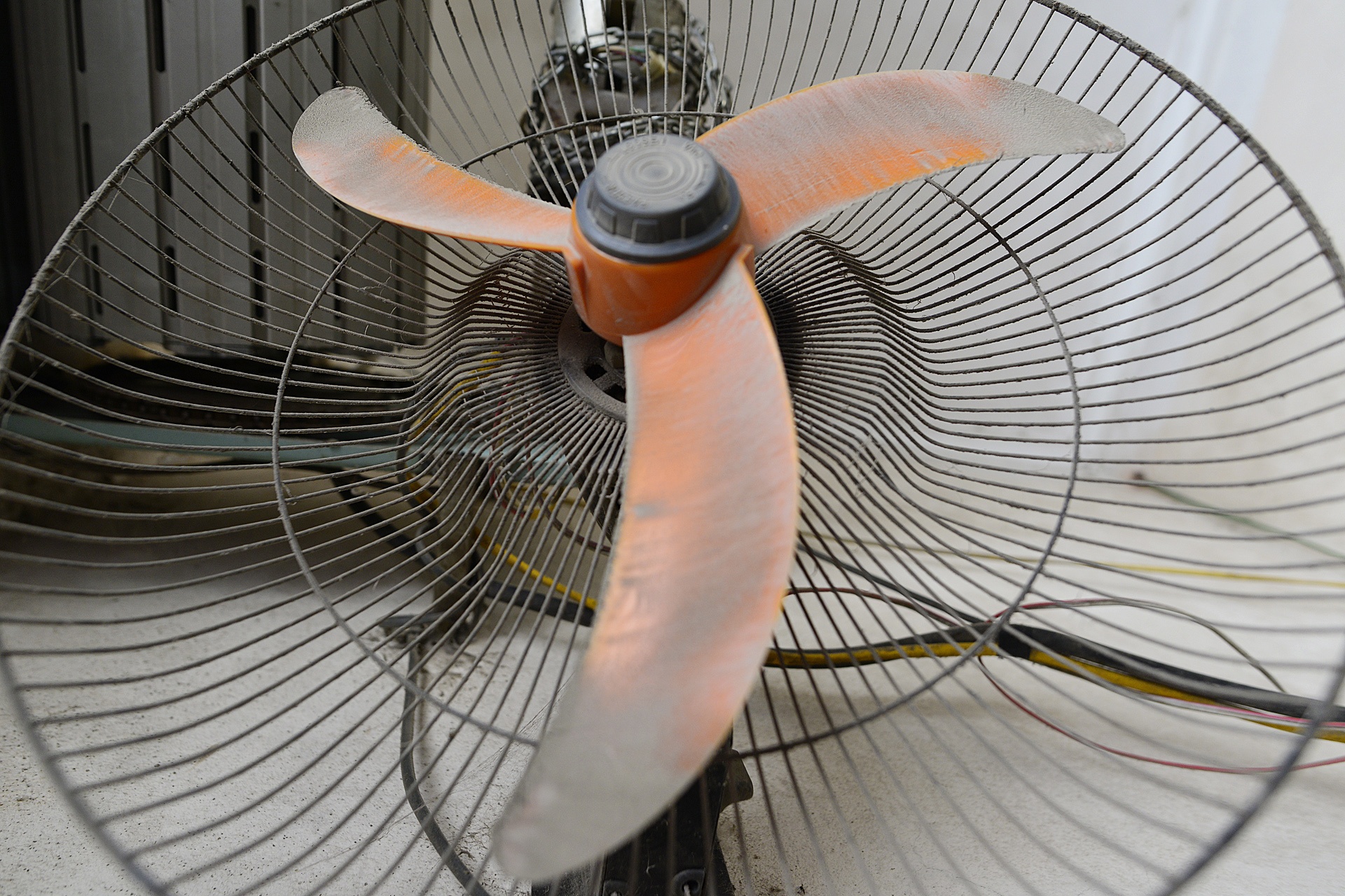 Canh tuong bui mu nhu suong o Ha Noi anh 15