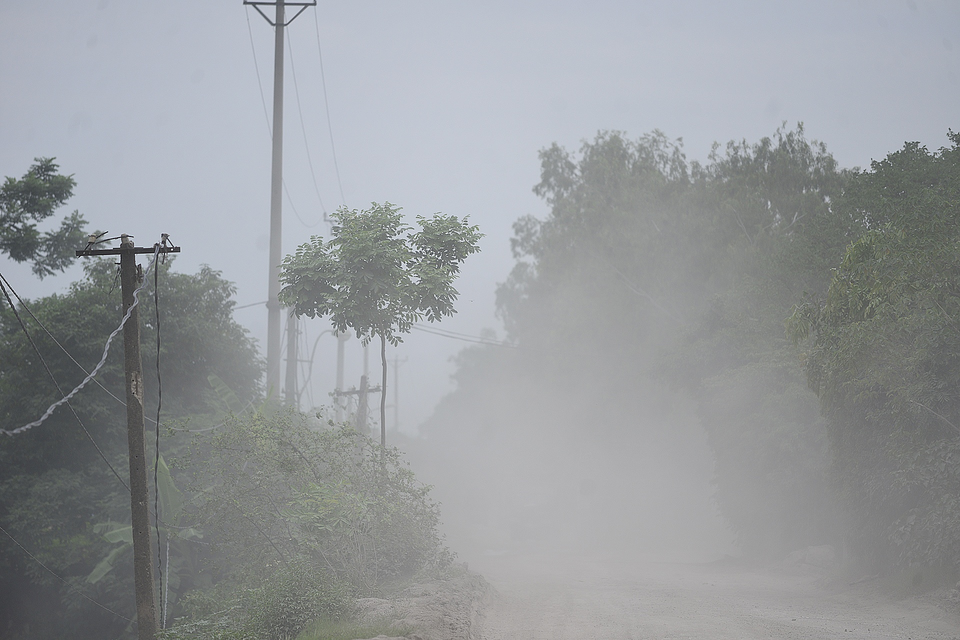 Canh tuong bui mu nhu suong o Ha Noi anh 4