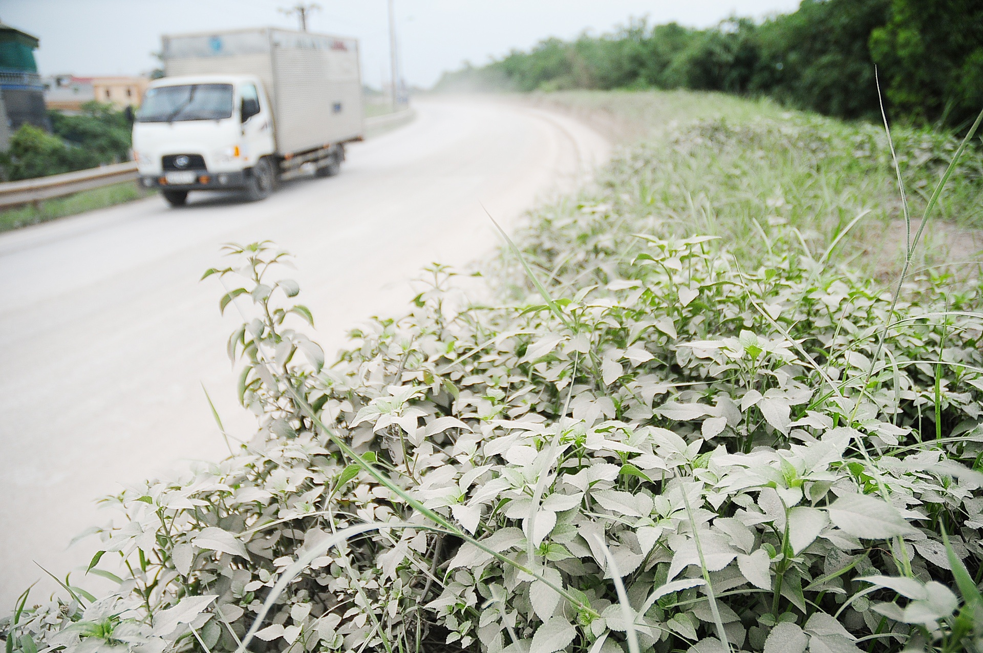 Canh tuong bui mu nhu suong o Ha Noi anh 9