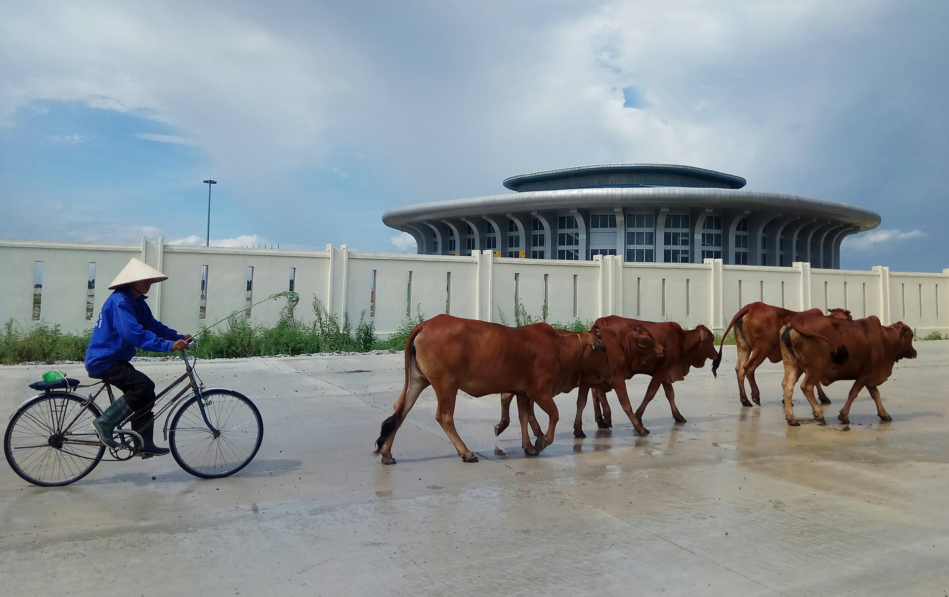 nha thi dau nghin ty nam giua canh dong anh 7