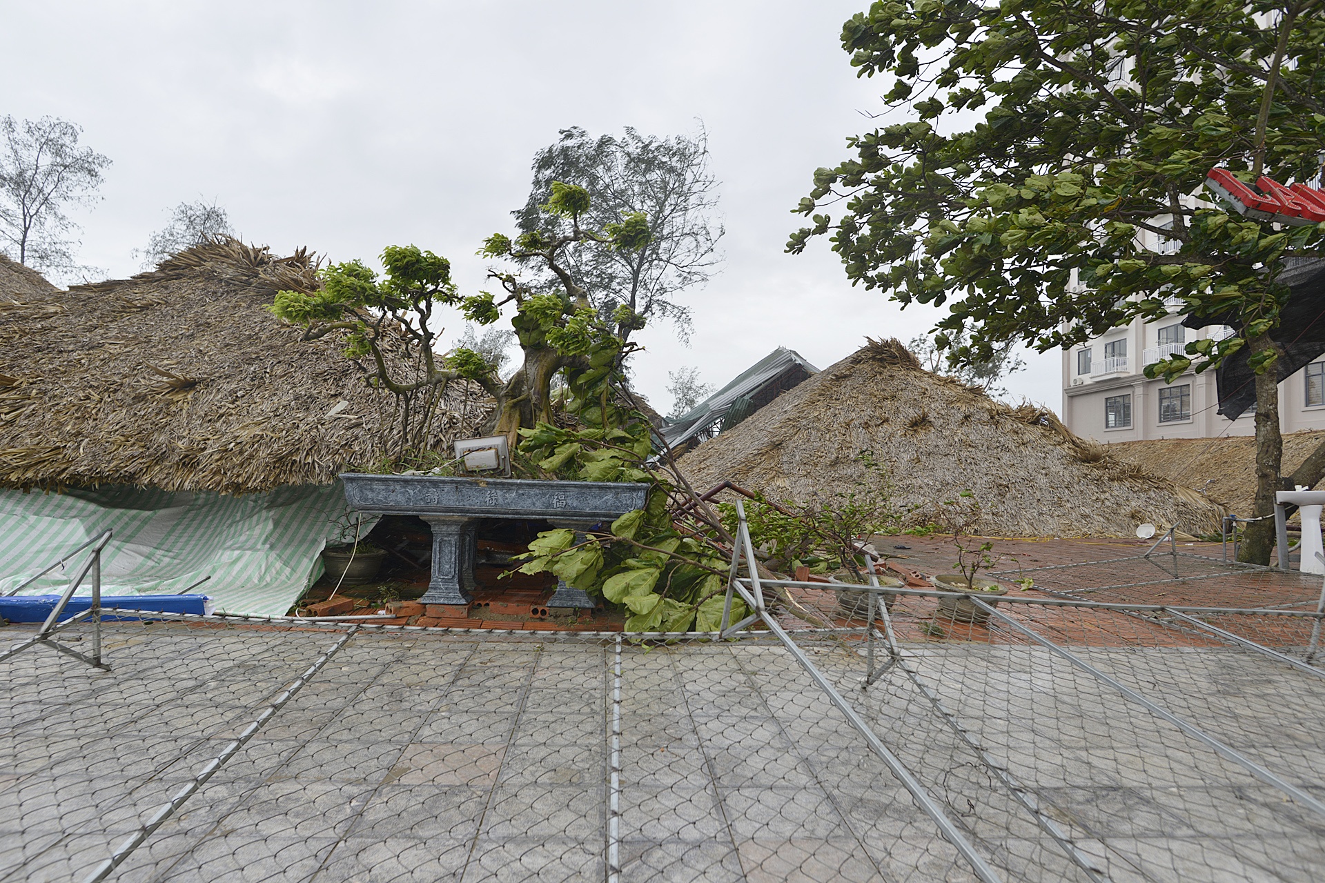 Sam Son tan hoang sau bao so 2 anh 2