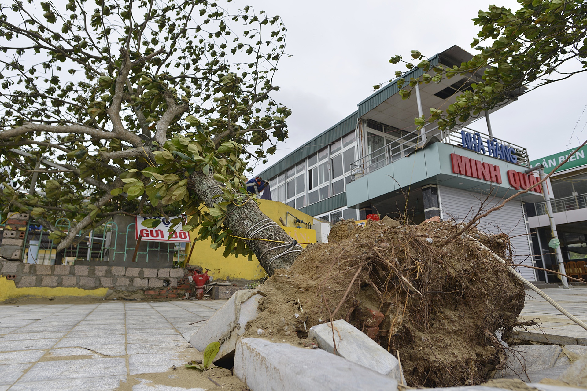 Sam Son tan hoang sau bao so 2 anh 5