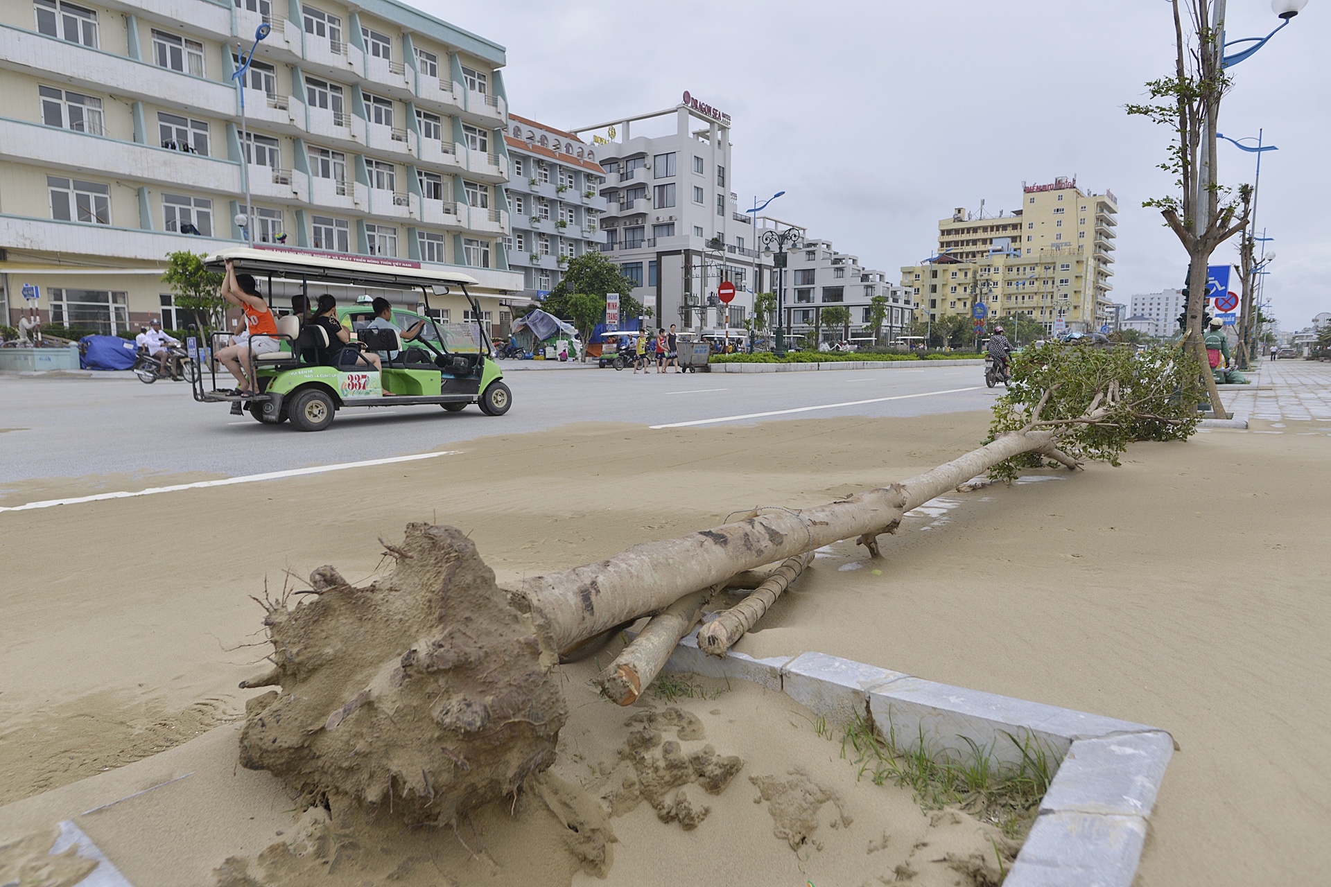 Sam Son tan hoang sau bao so 2 anh 7