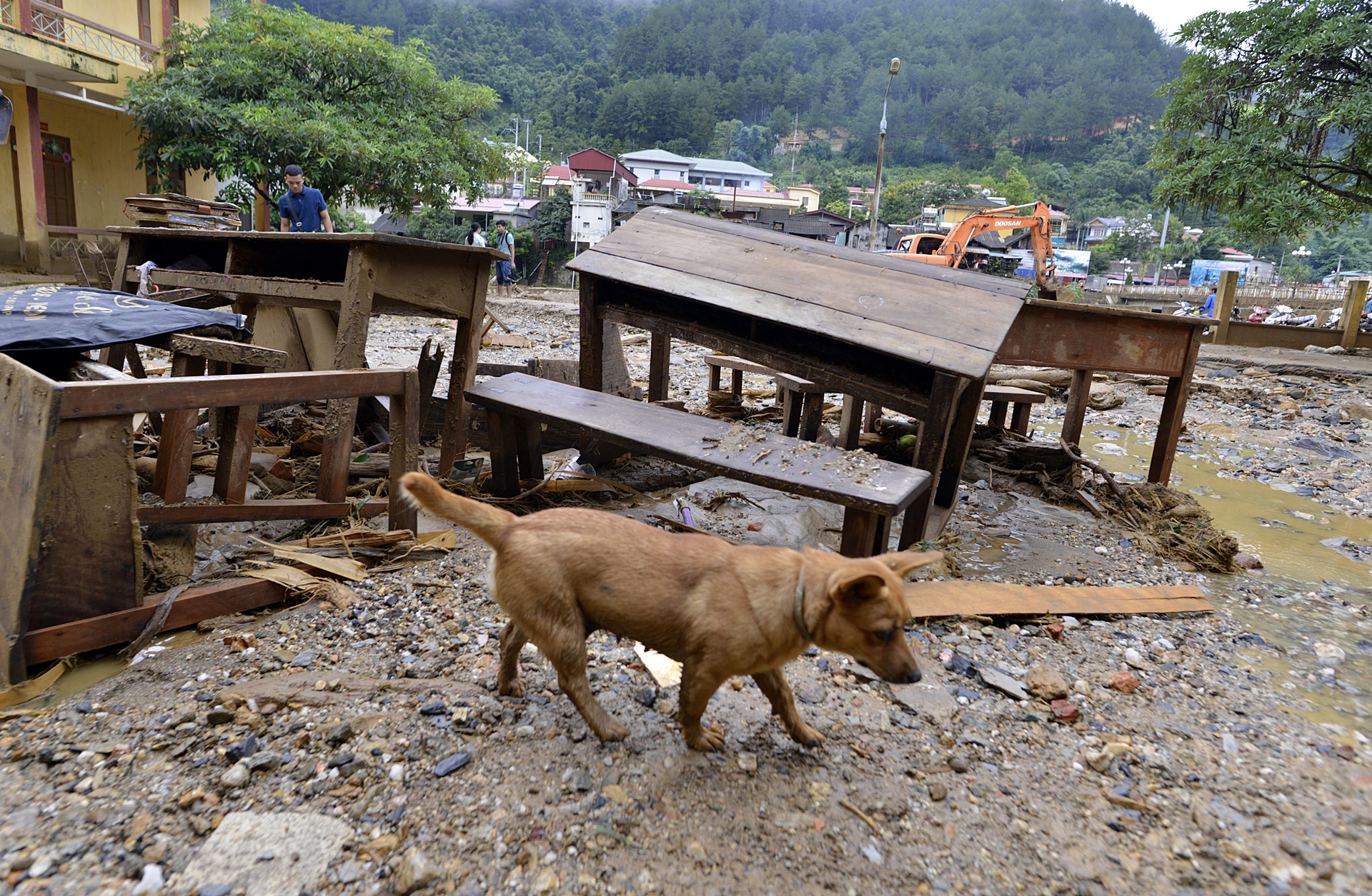 hinh anh noi ron lu mu cang chai anh 9