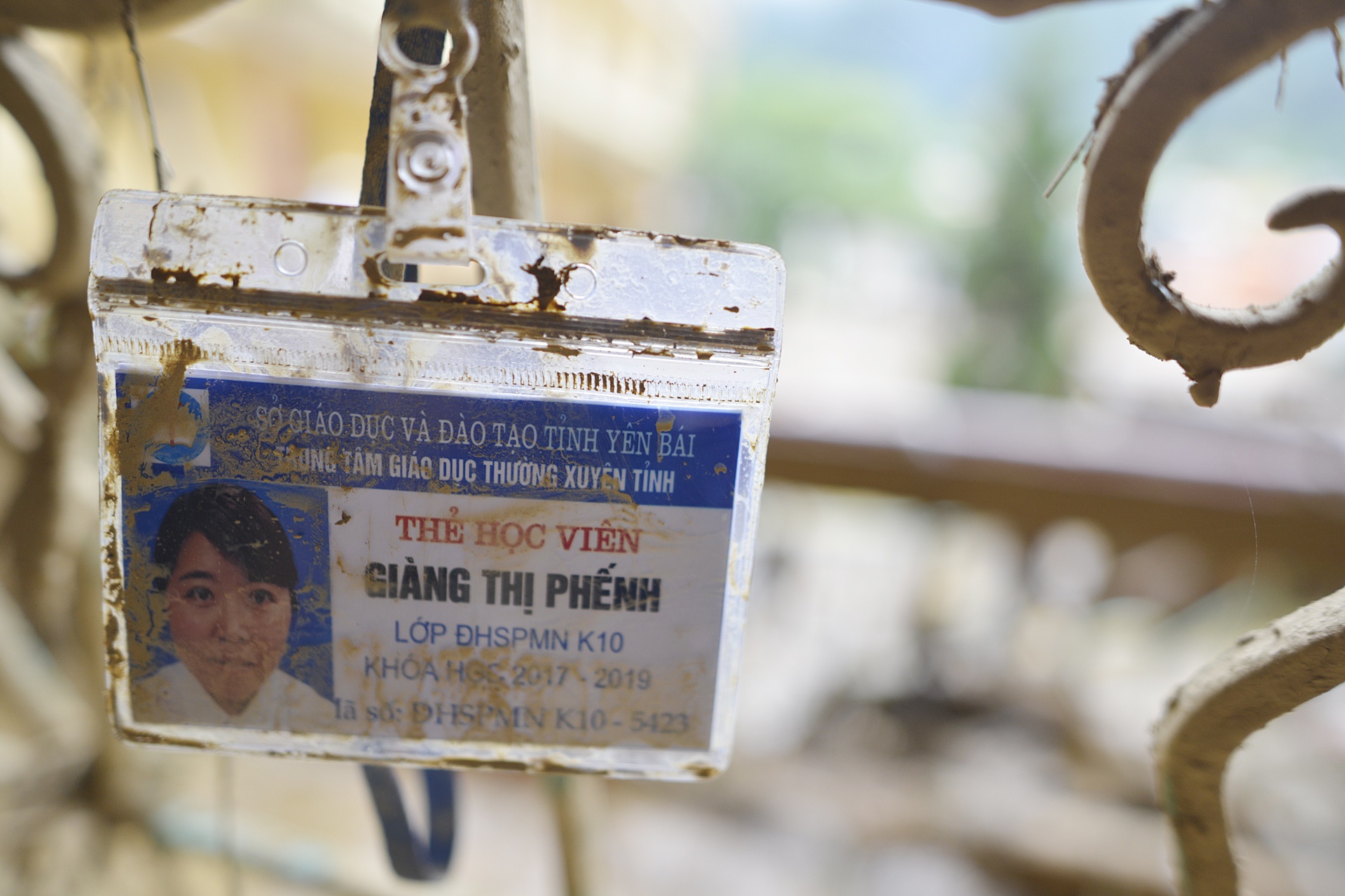 hinh anh noi ron lu mu cang chai anh 11