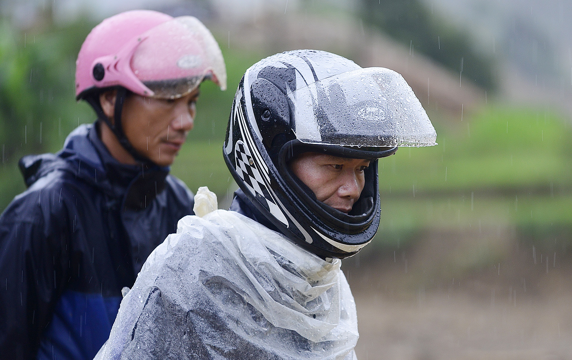 Lu ong o Yen Bai anh 7