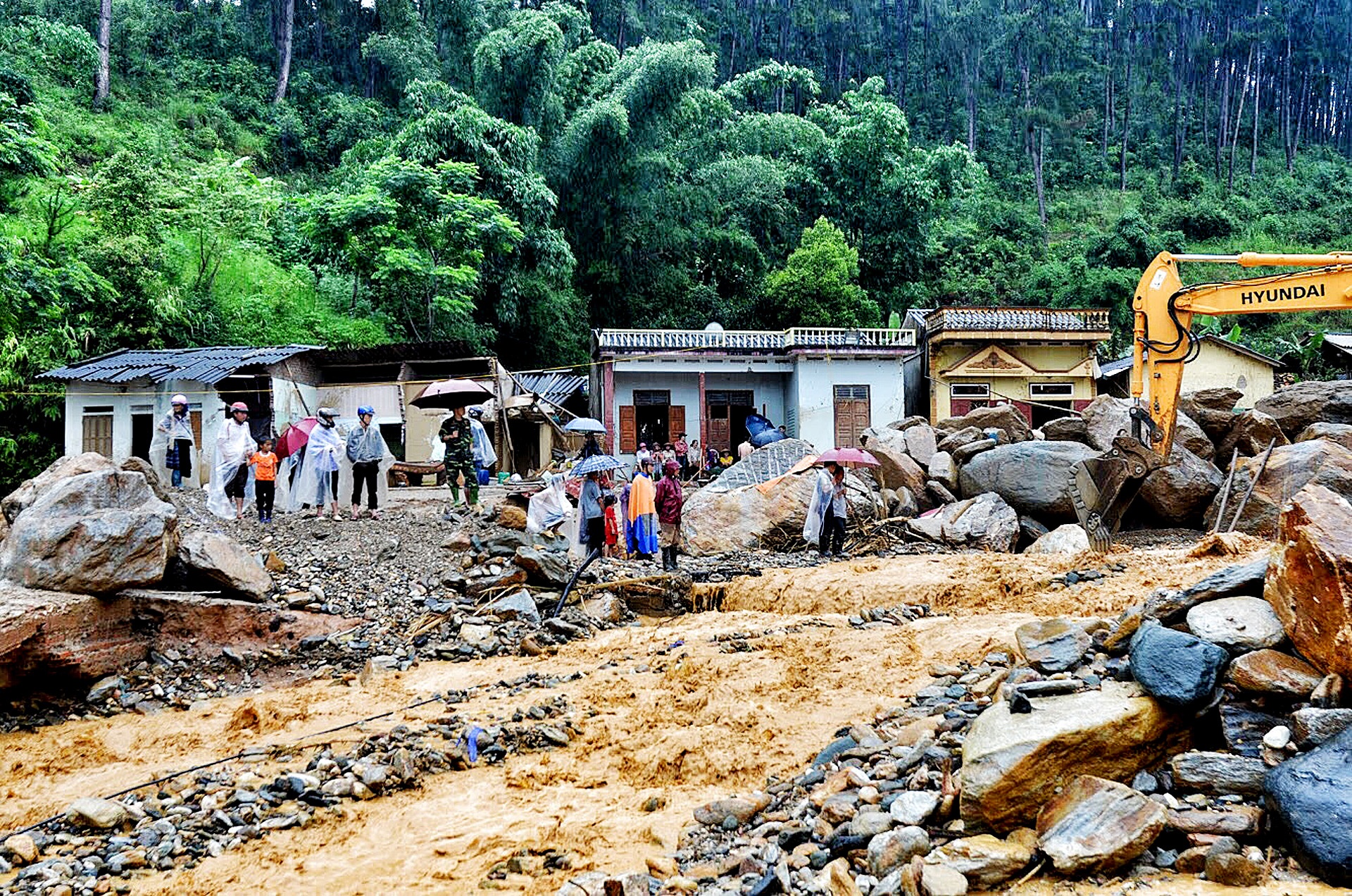 Lu ong o Yen Bai anh 9