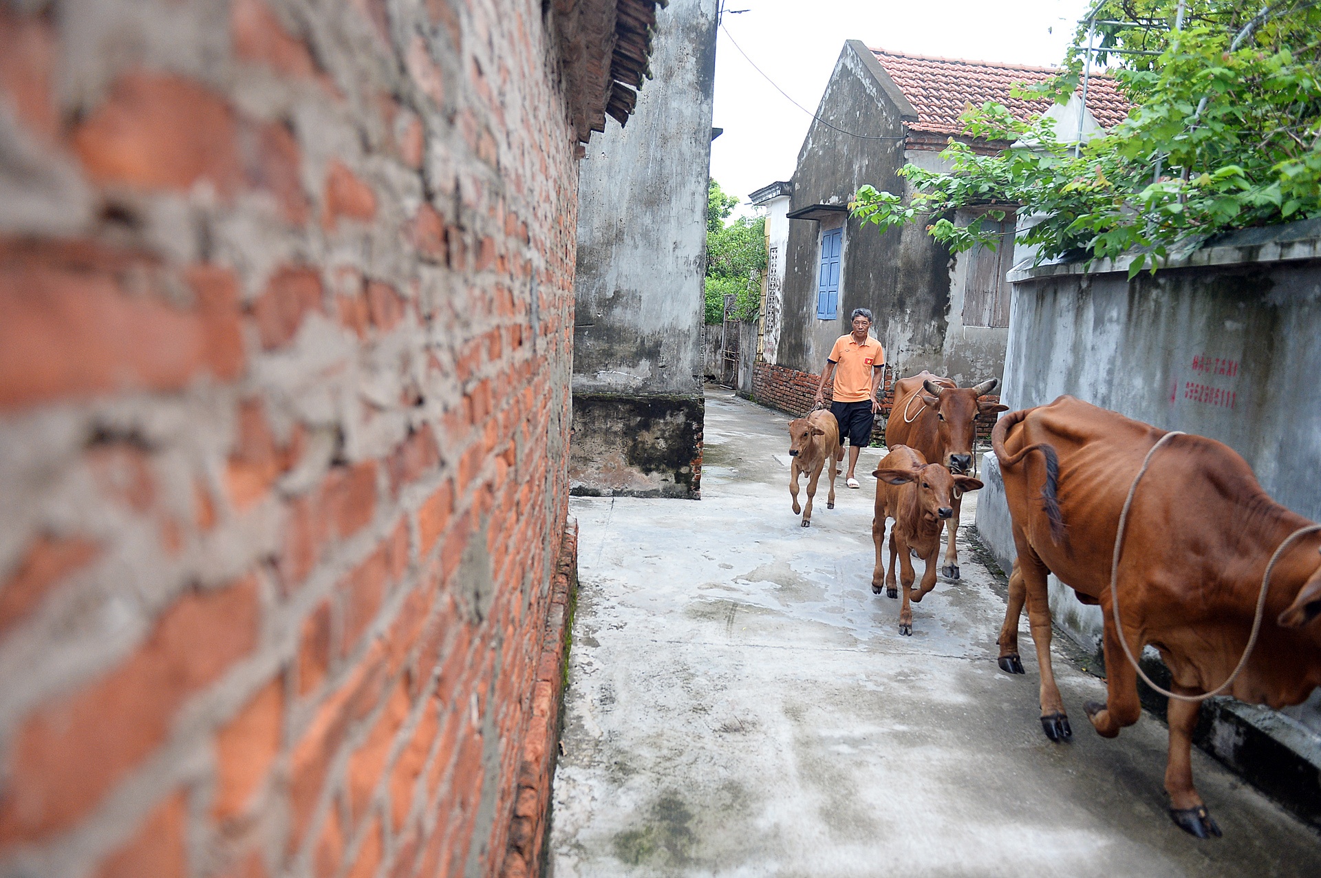 bo me cau thu doan van hau anh 14