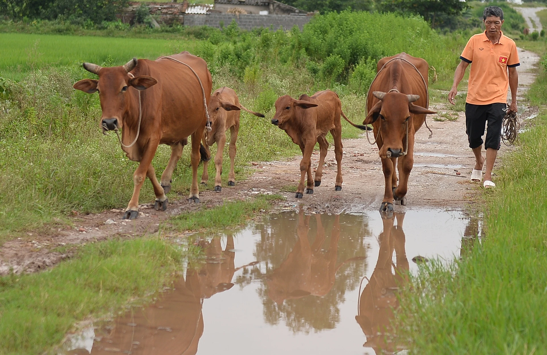 bo me cau thu doan van hau anh 2