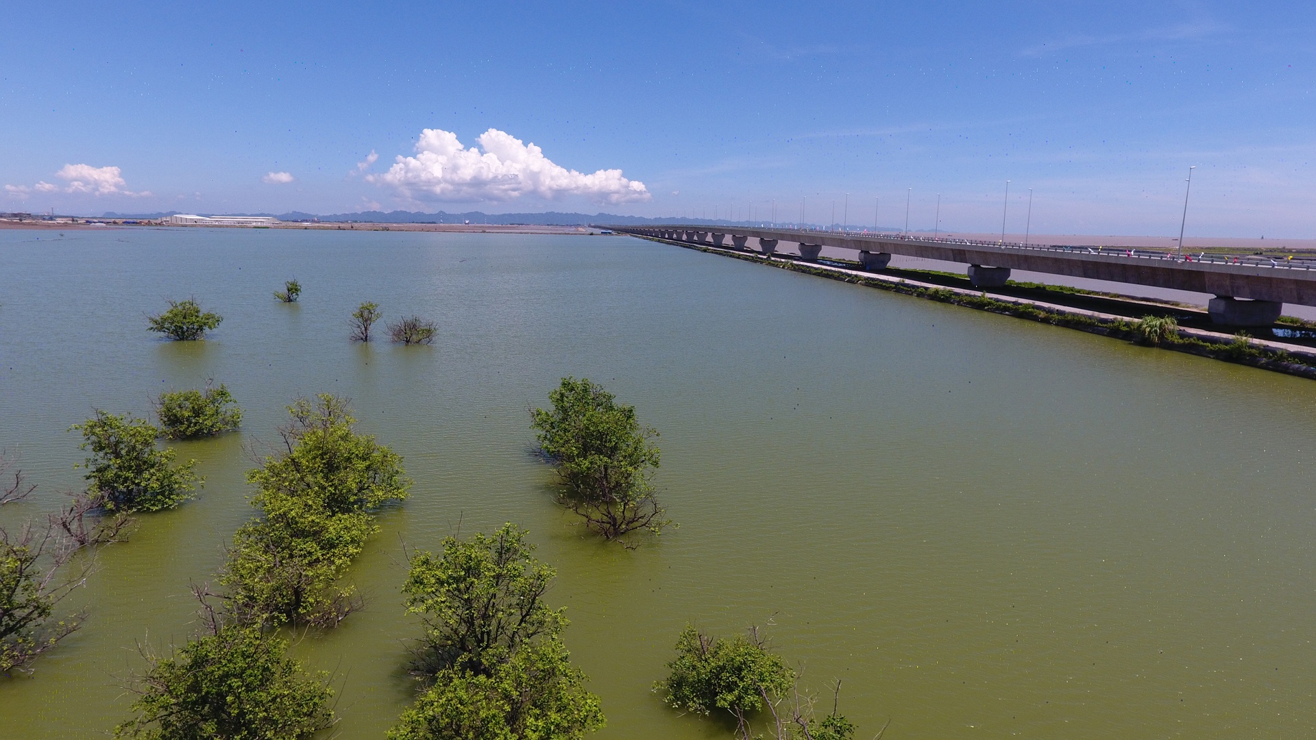 Cau vuot bien dai nhat Viet Nam anh 5