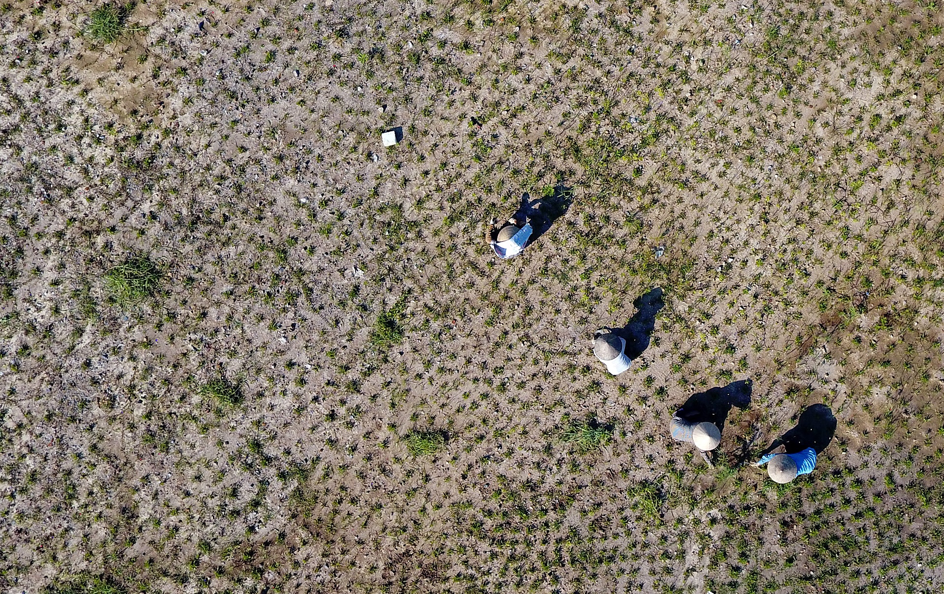 Cau vuot bien dai nhat Viet Nam anh 9