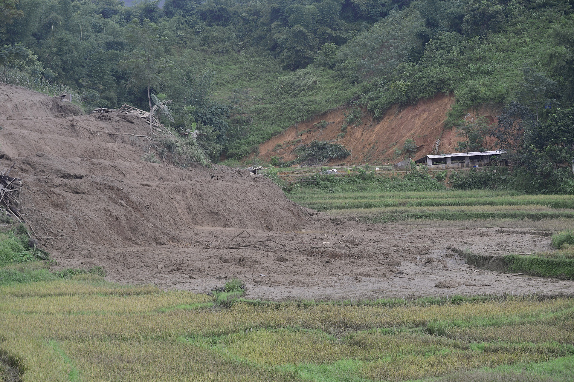 dat da chon vui 18 nguoi tai Hoa Binh anh 8