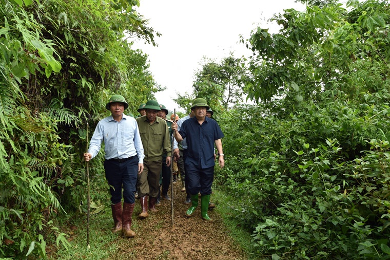 dat da chon vui 18 nguoi tai Hoa Binh anh 15