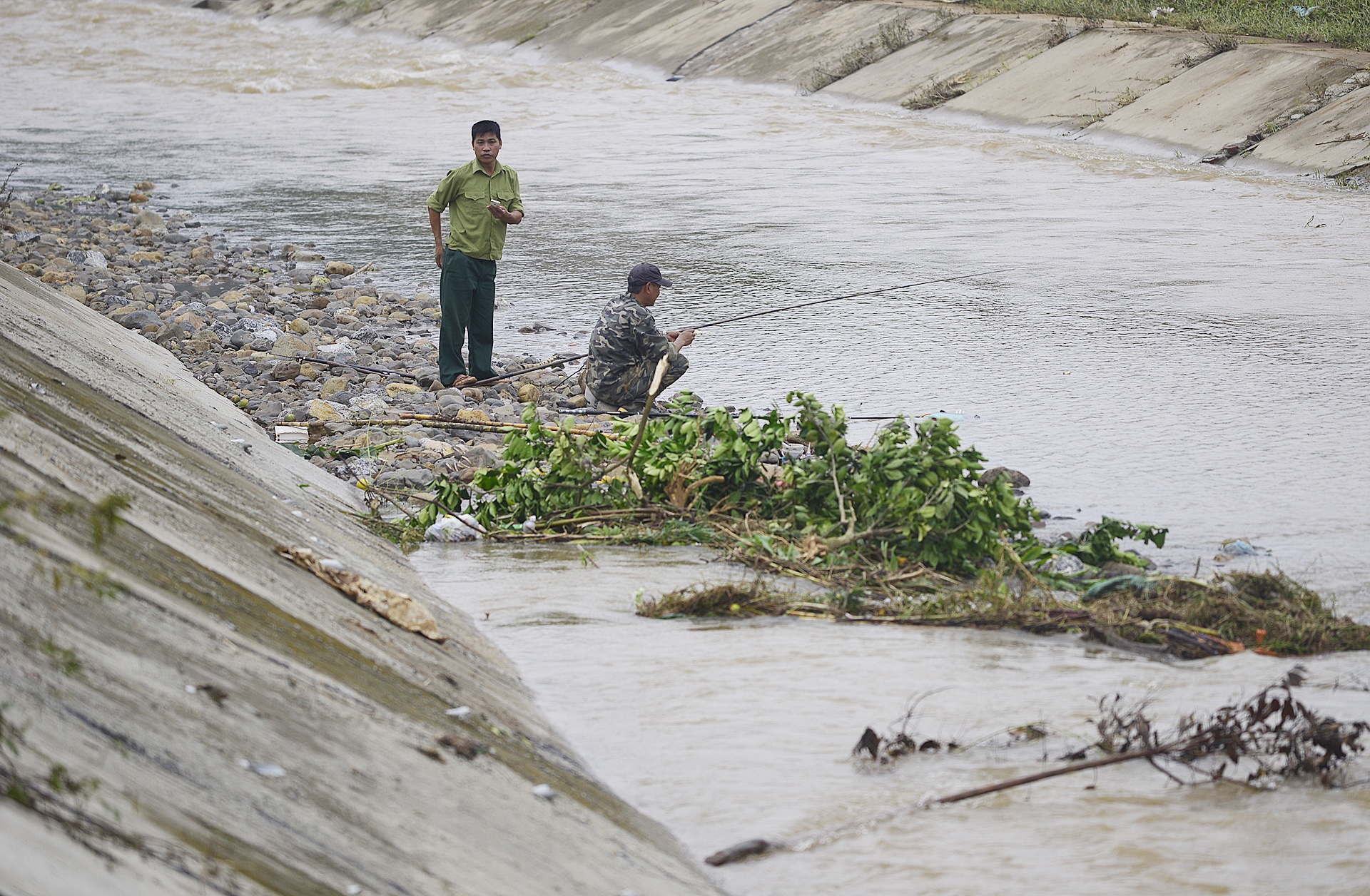 vuon cam Cao Phong ngap trong nuoc lu anh 11