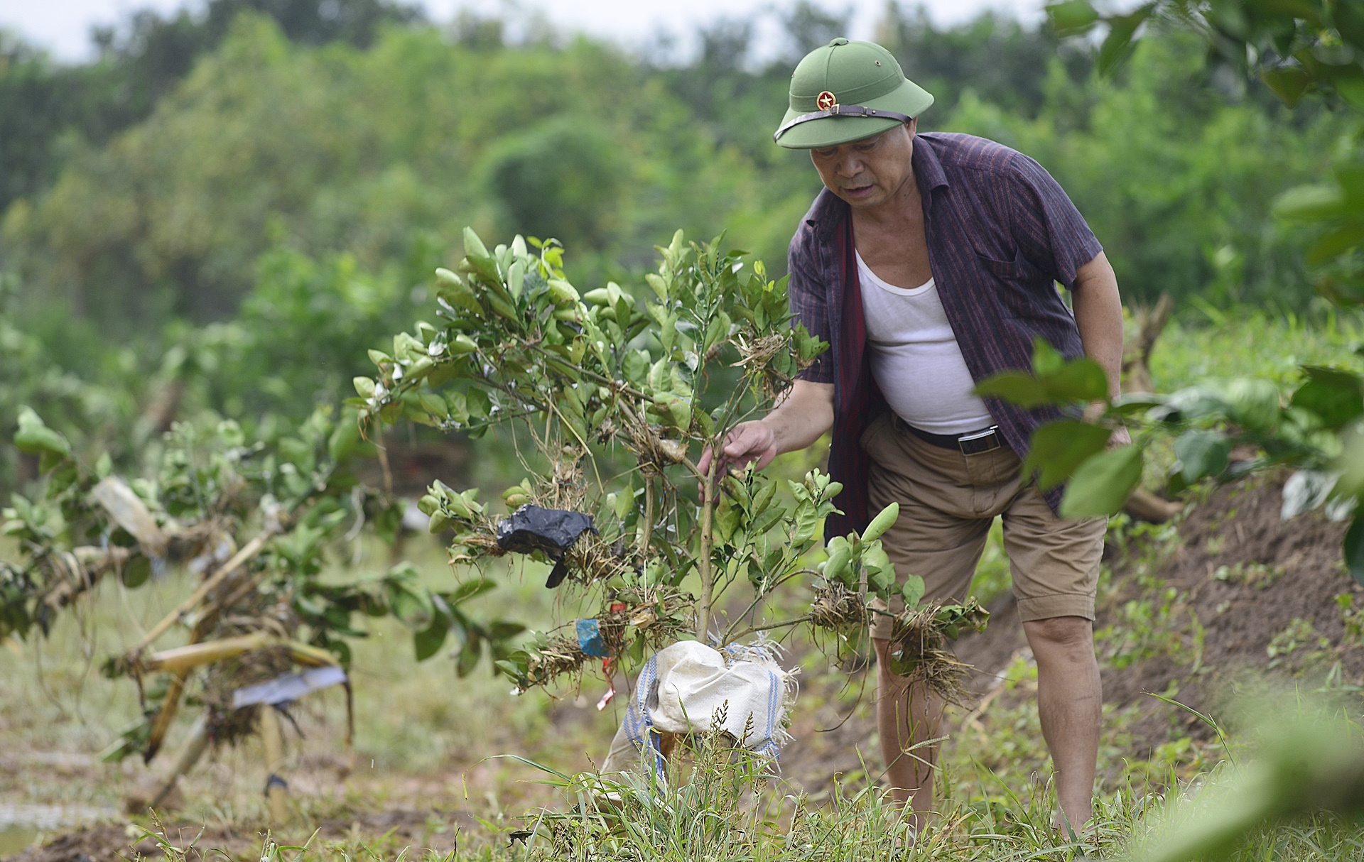 Luc luong cuu ho tai vu sat lo o Hoa Binh anh 34
