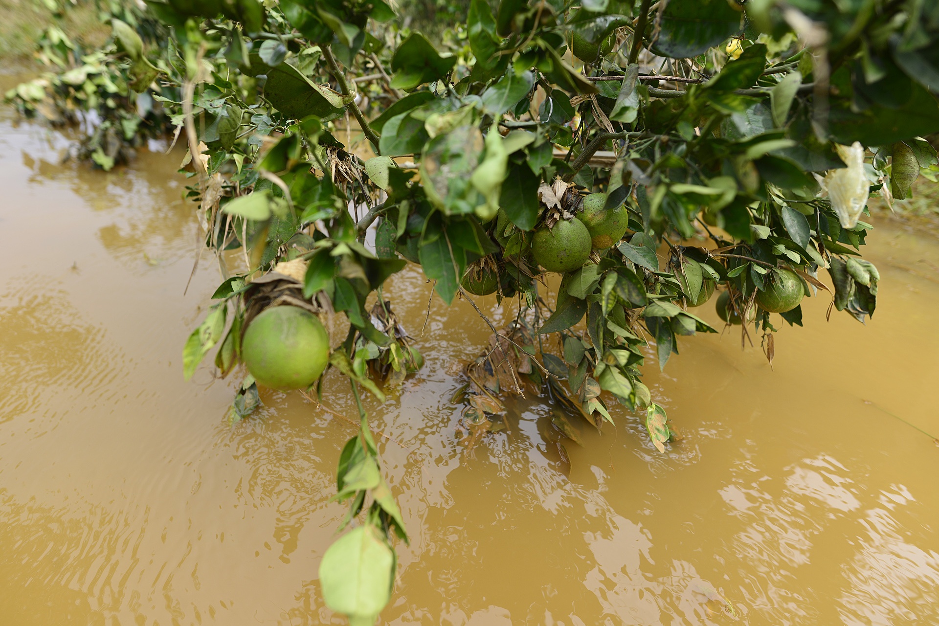 Luc luong cuu ho tai vu sat lo o Hoa Binh anh 33