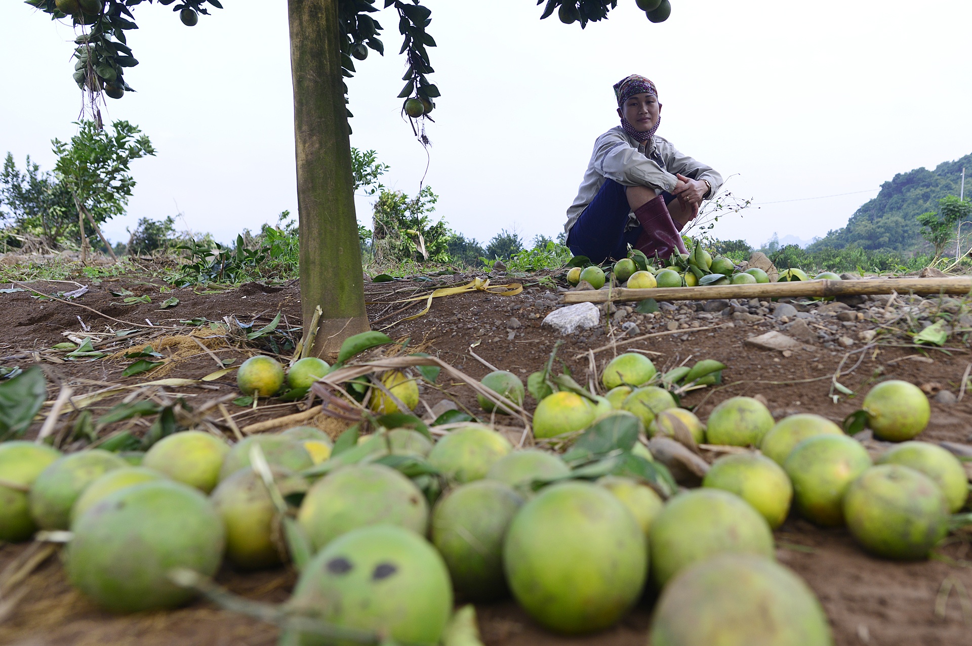 Luc luong cuu ho tai vu sat lo o Hoa Binh anh 32