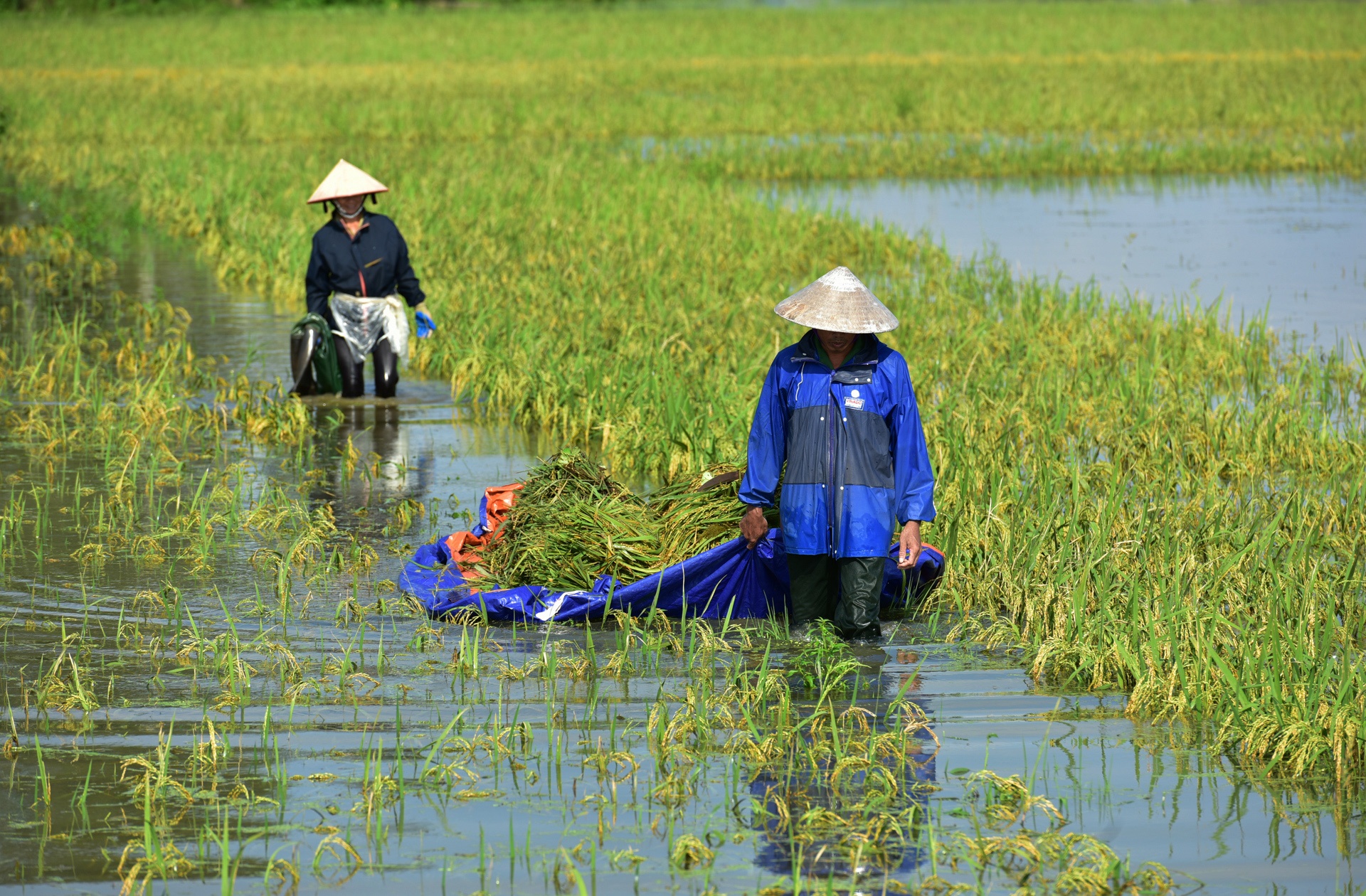 Lực lượng cứu hộ tại vụ sạt lở ở Hòa Bình ảnh 21 Luc luong cuu ho tai vu sat lo o Hoa Binh anh 21