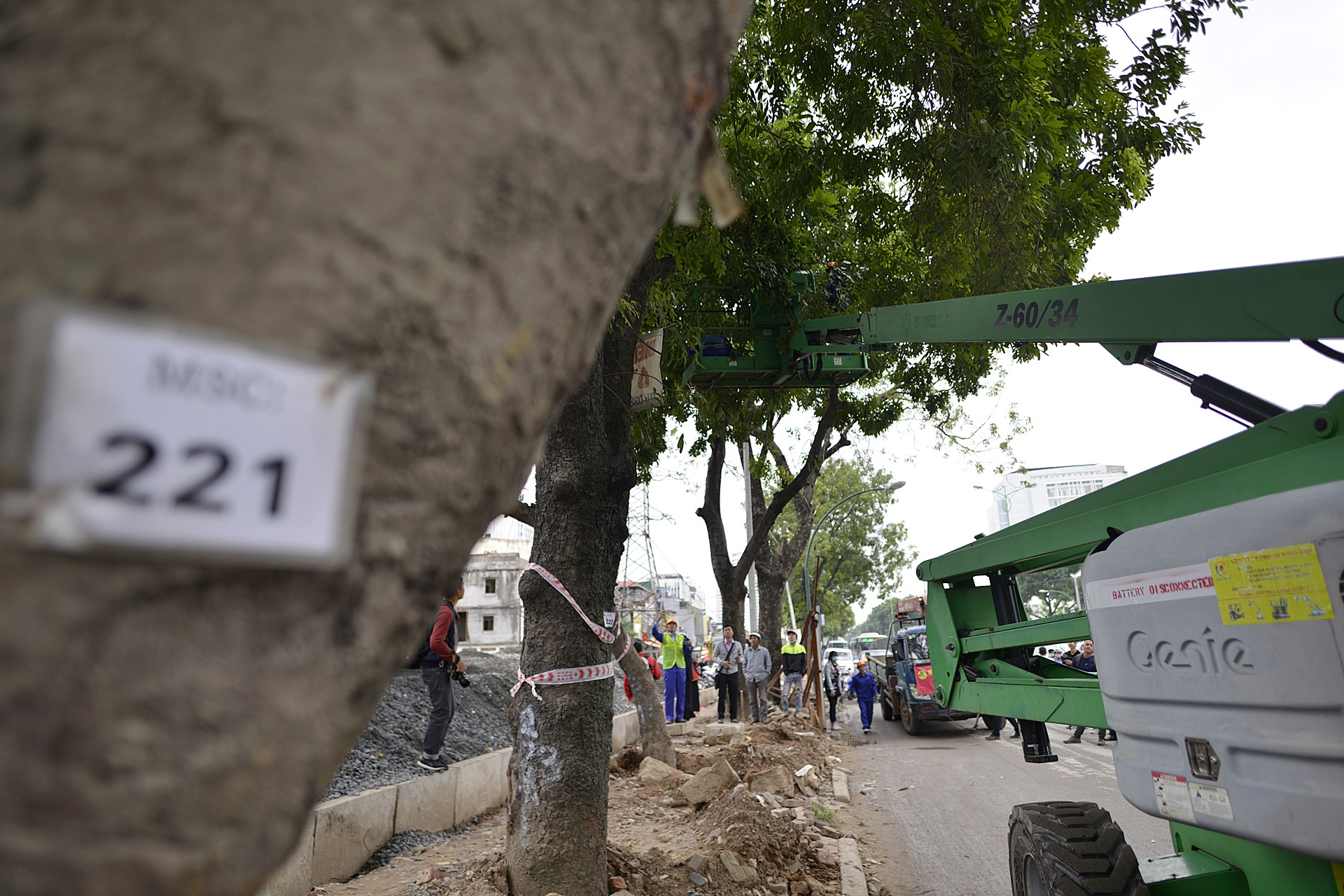 chat ha hang cay xa cu tren duong Pham Van Dong anh 1