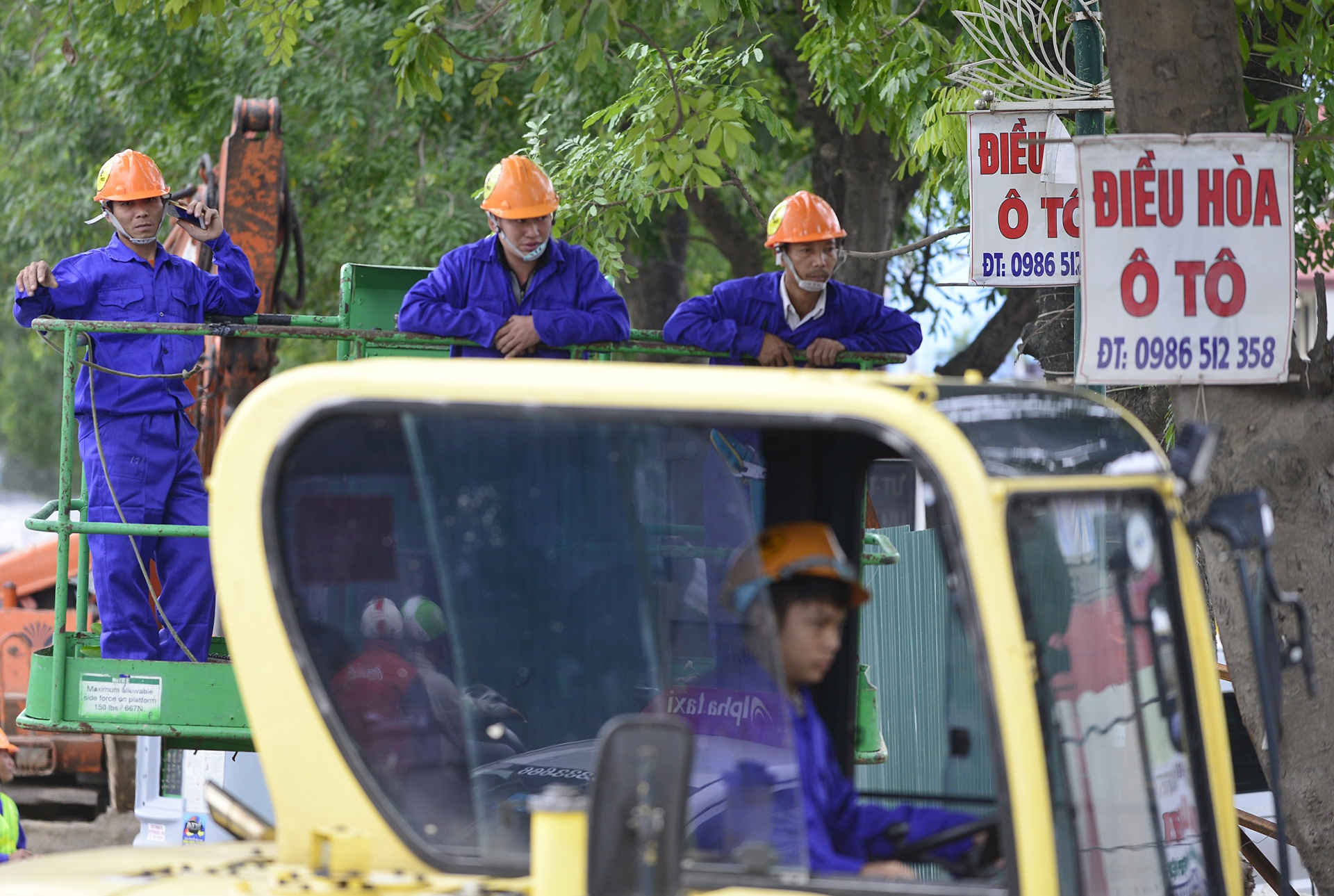 chat ha hang cay xa cu tren duong Pham Van Dong anh 3