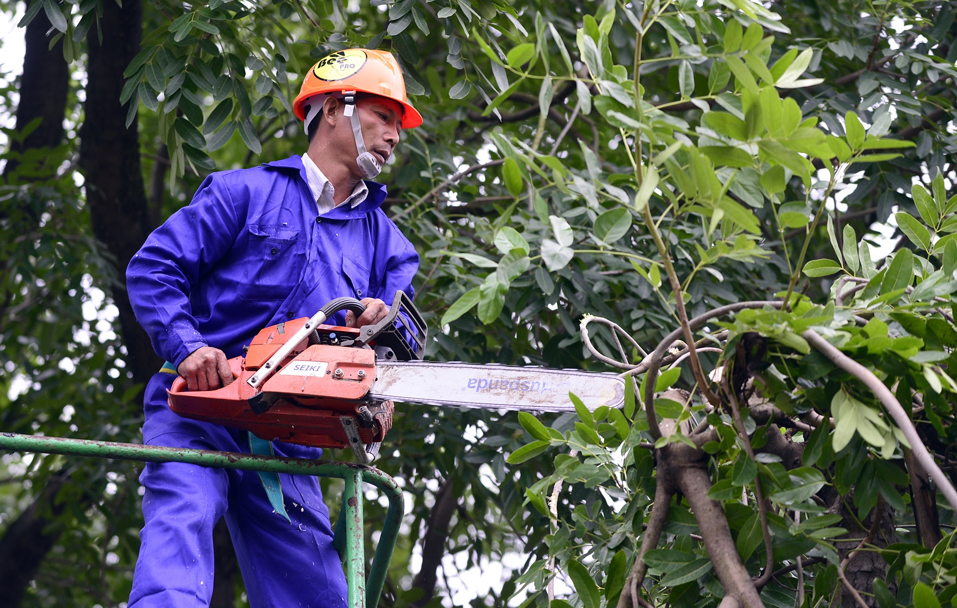 chat ha hang cay xa cu tren duong Pham Van Dong anh 4