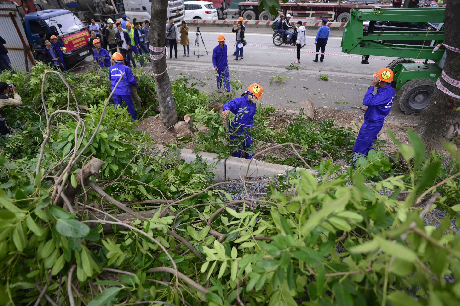 chat ha hang cay xa cu tren duong Pham Van Dong anh 6