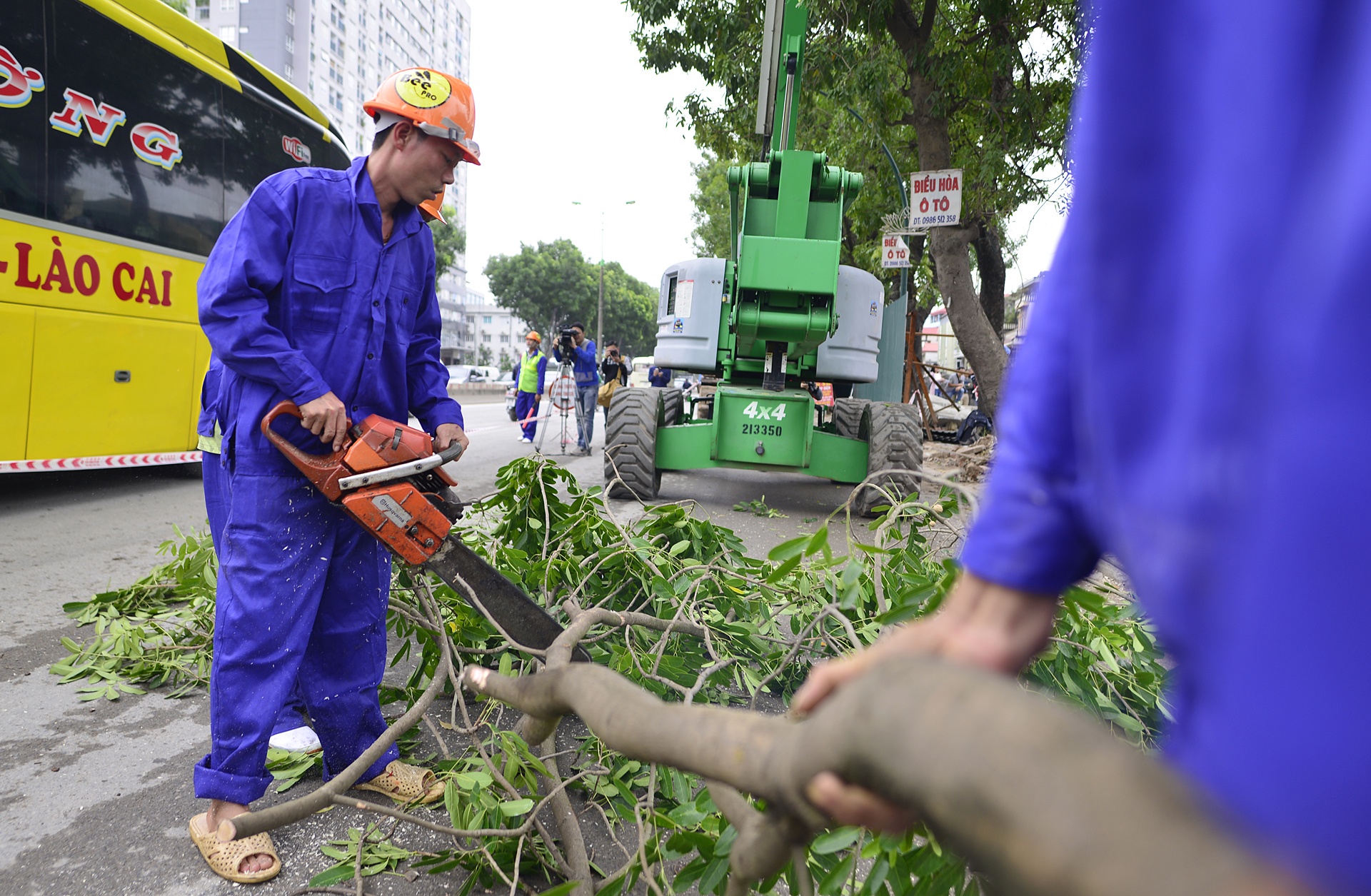 chat ha hang cay xa cu tren duong Pham Van Dong anh 7
