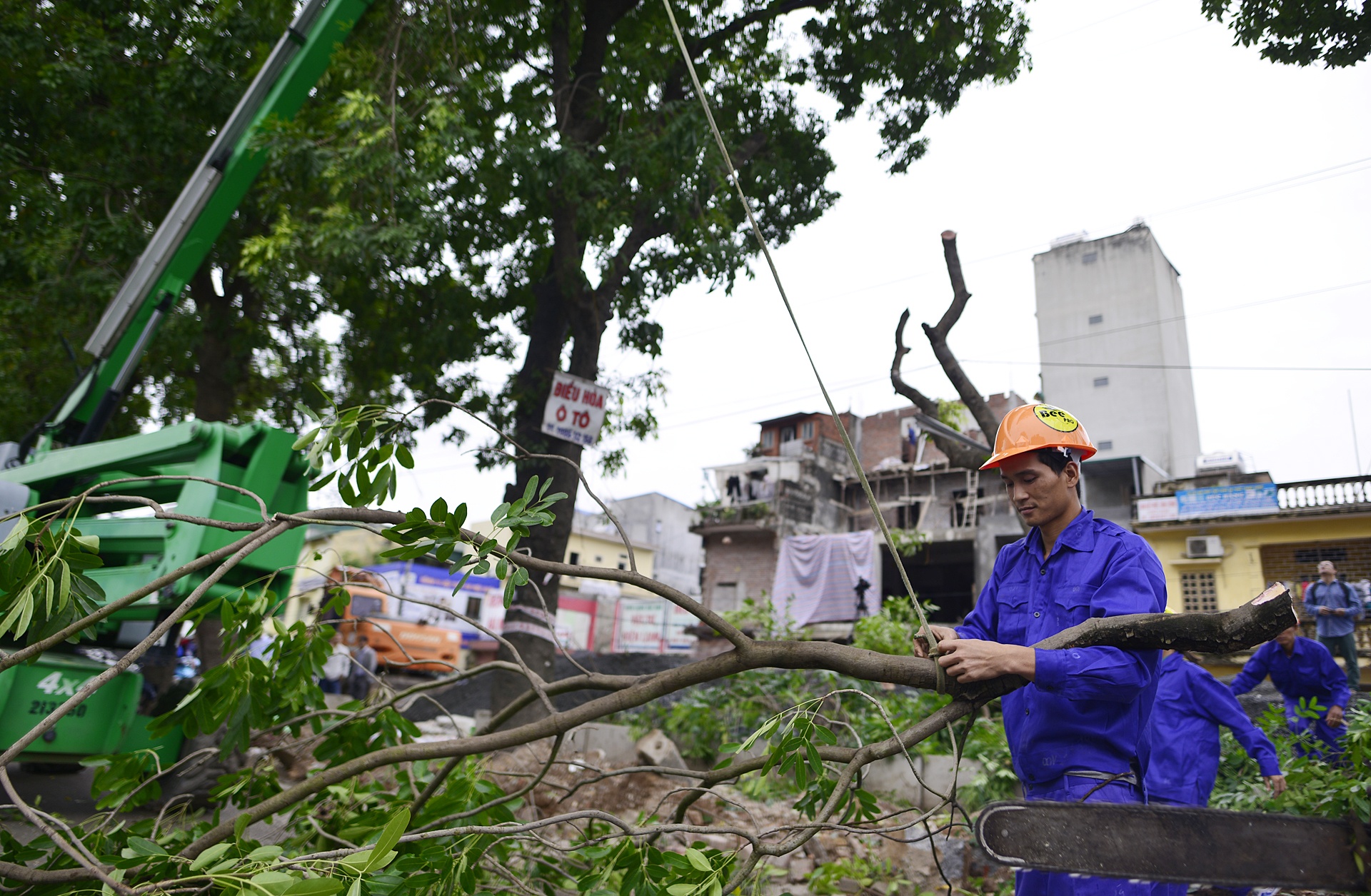 chat ha hang cay xa cu tren duong Pham Van Dong anh 9
