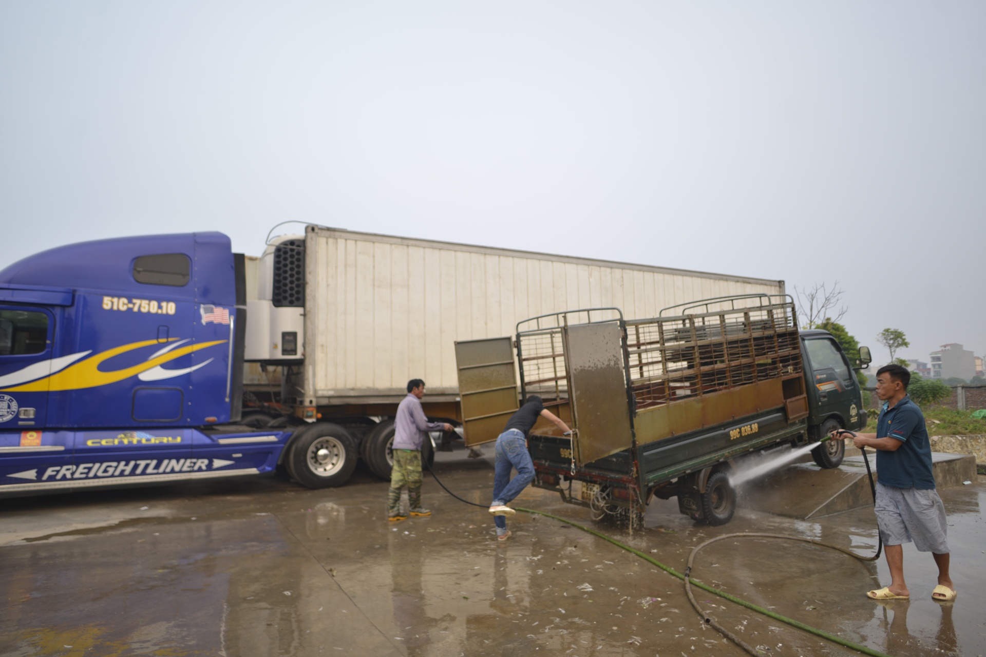 Cay xang rua xe,  tang nuoc va lau kinh mien phi anh 10