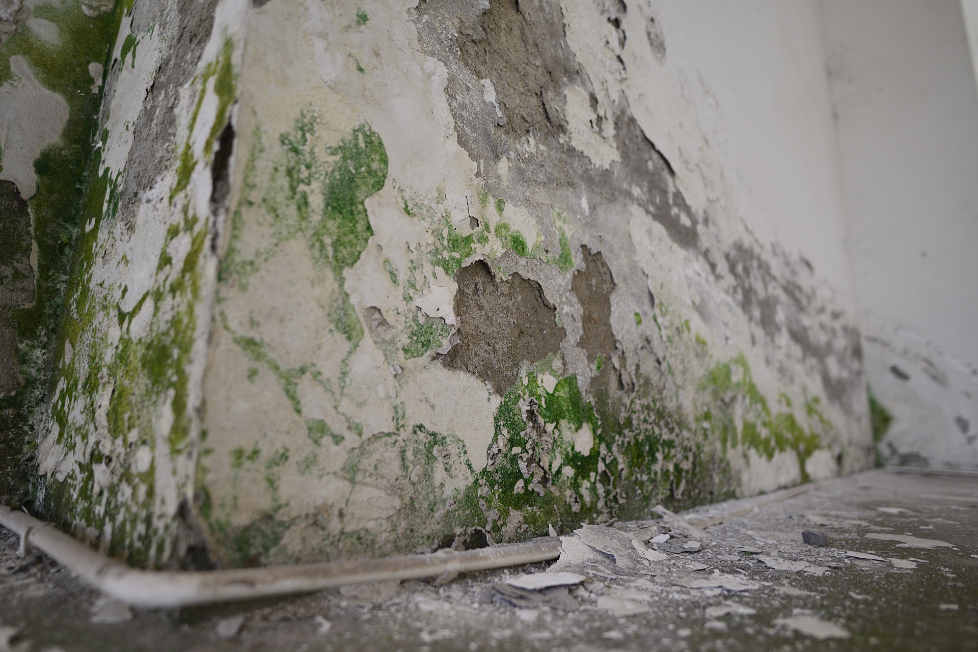 nhung chung cu tai dinh cu bo hoang va it nguoi o anh 14