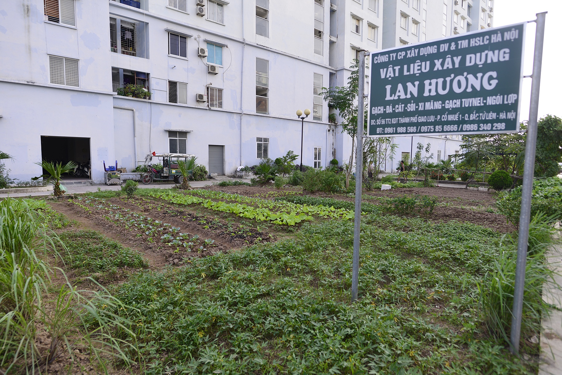 nhung chung cu tai dinh cu bo hoang va it nguoi o anh 16