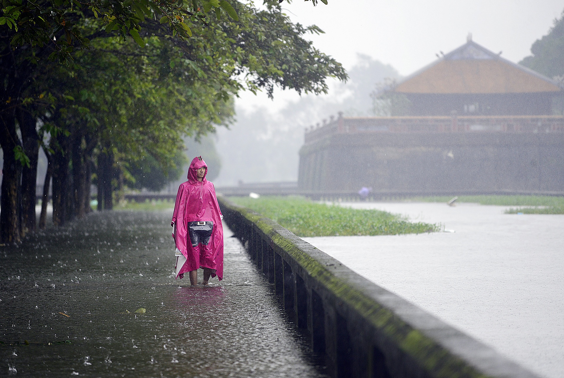 bat ca quanh kinh thanh Hue sau mua lon anh 1