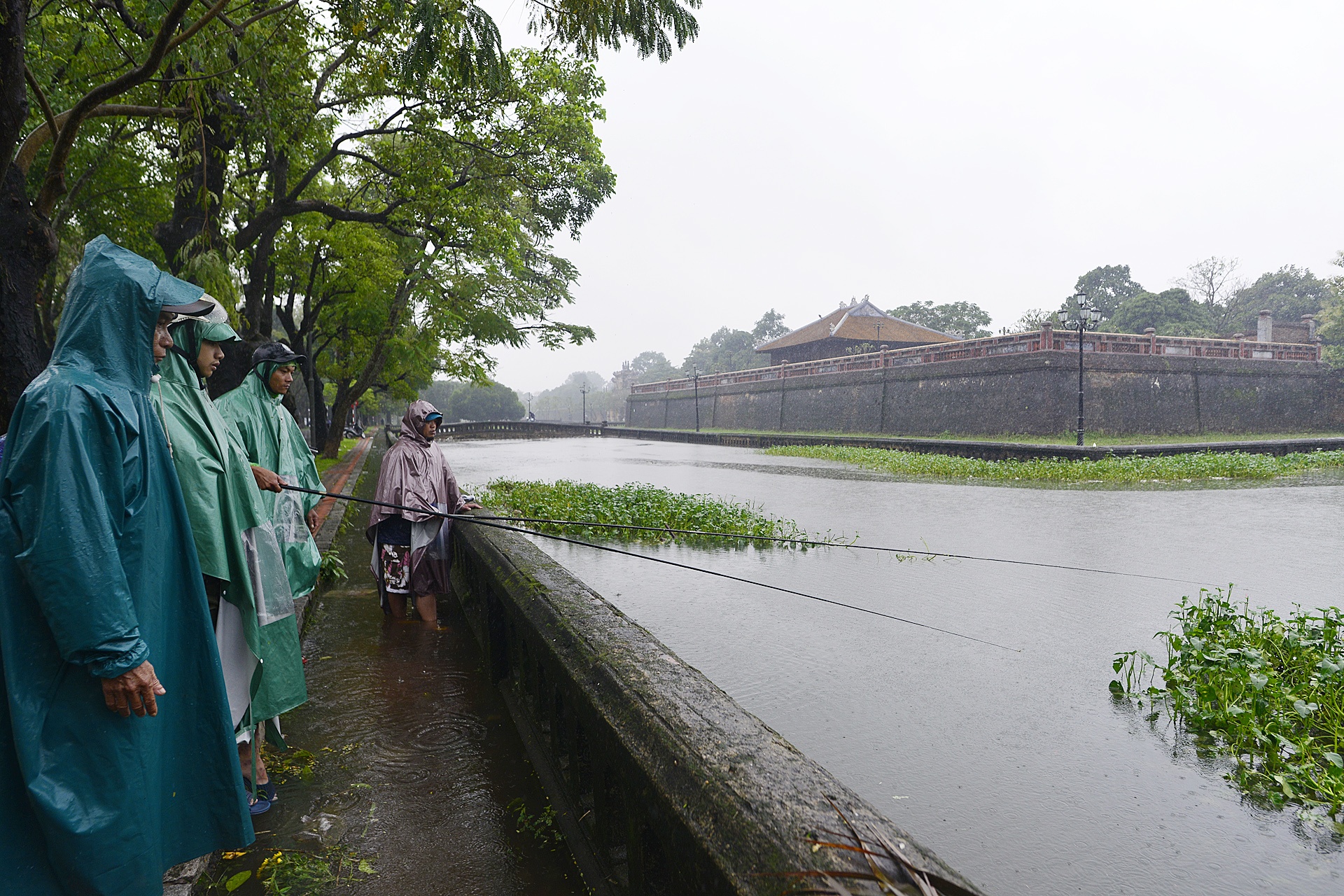 bat ca quanh kinh thanh Hue sau mua lon anh 2