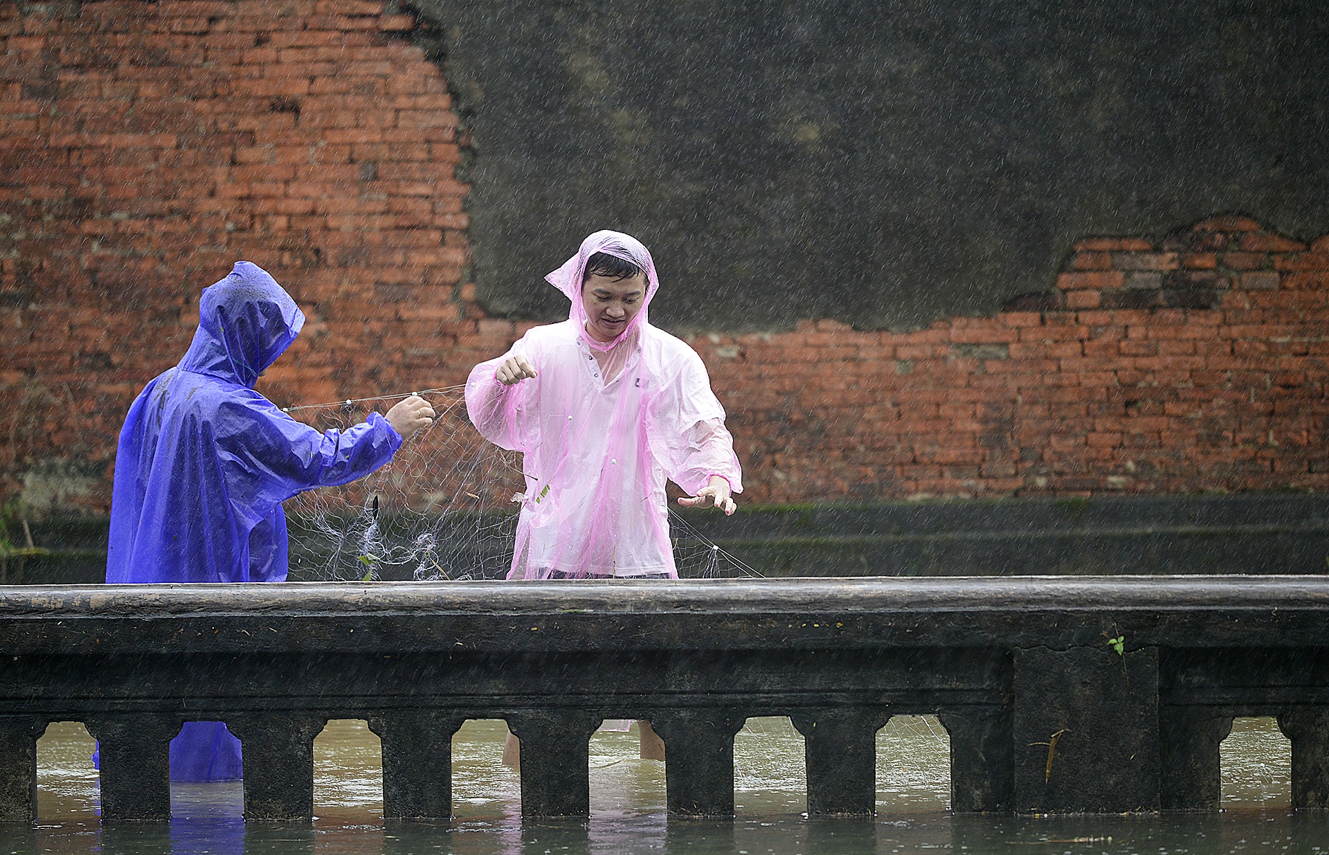 bat ca quanh kinh thanh Hue sau mua lon anh 3