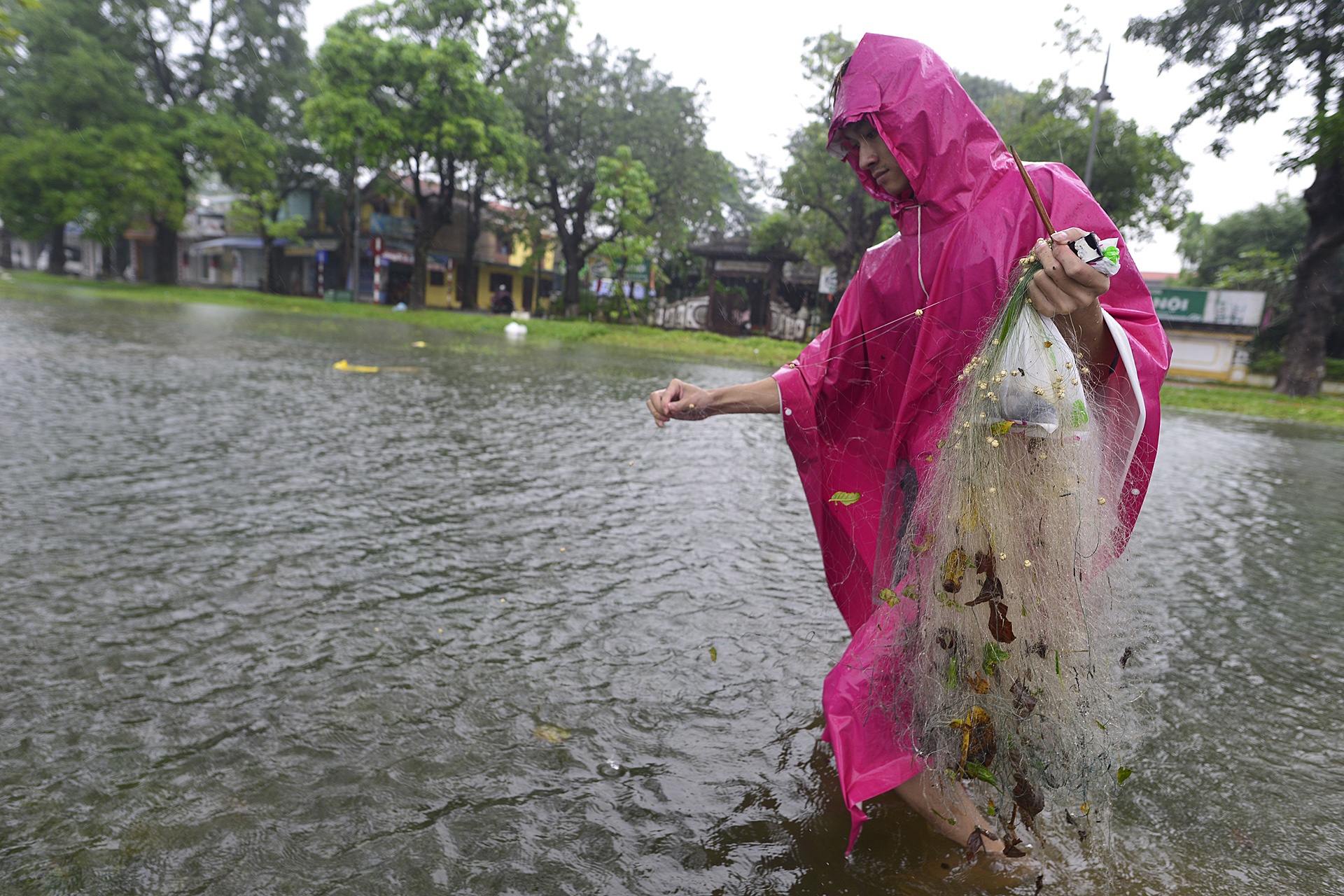 bat ca quanh kinh thanh Hue sau mua lon anh 8