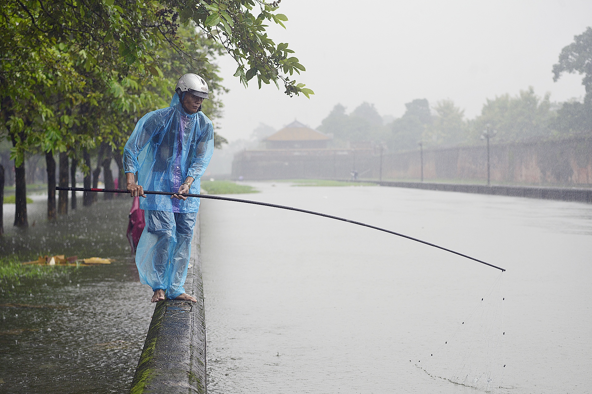 bat ca quanh kinh thanh Hue sau mua lon anh 9