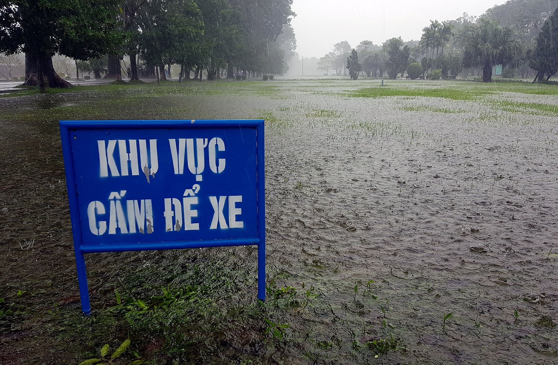 du khach loi nuoc trong dai noi Hue anh 11