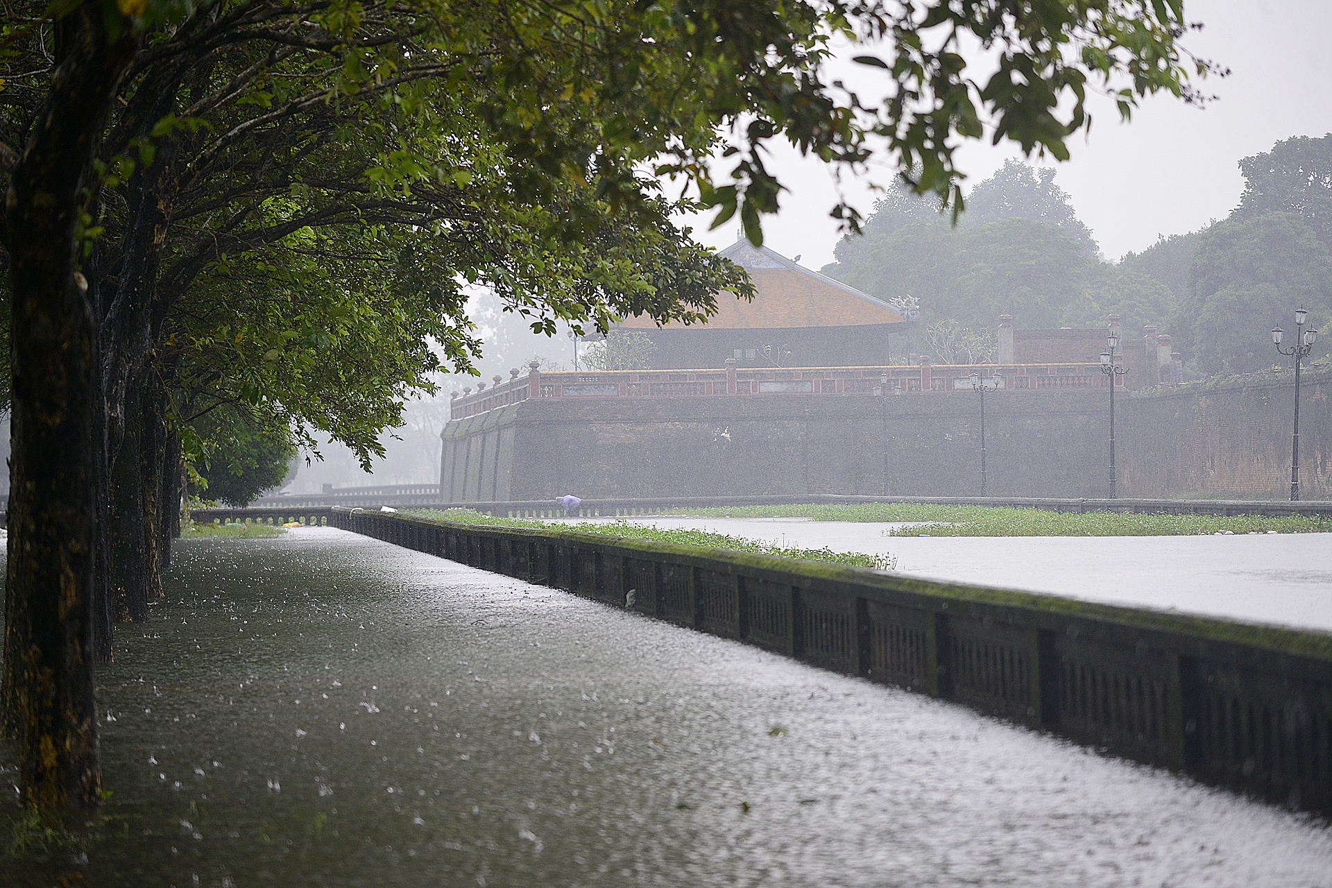 du khach loi nuoc trong dai noi Hue anh 12