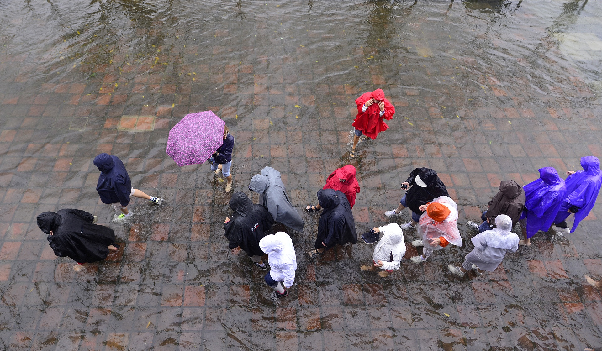 du khach loi nuoc trong dai noi Hue anh 2
