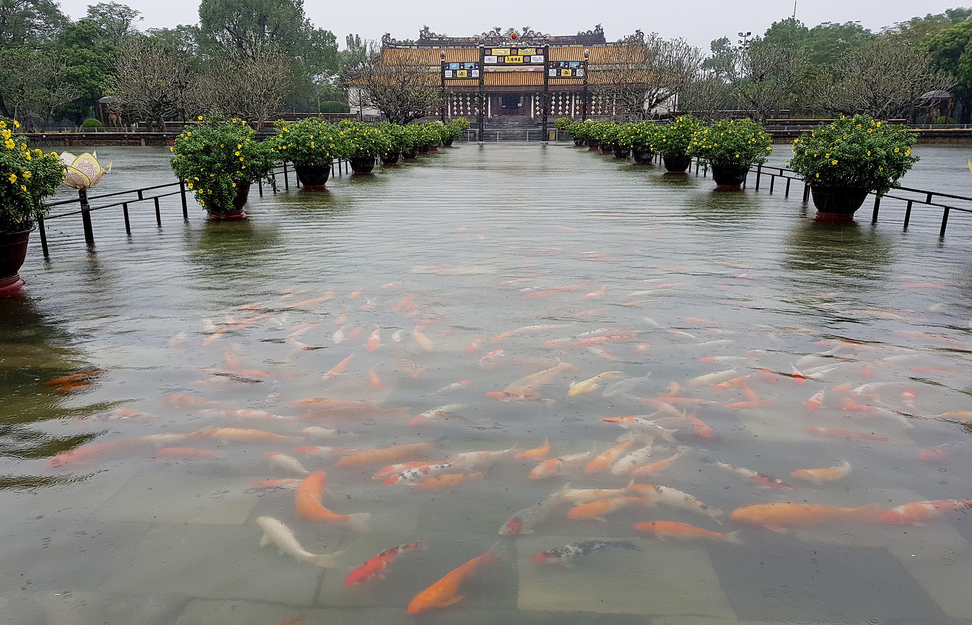 du khach loi nuoc trong dai noi Hue anh 4