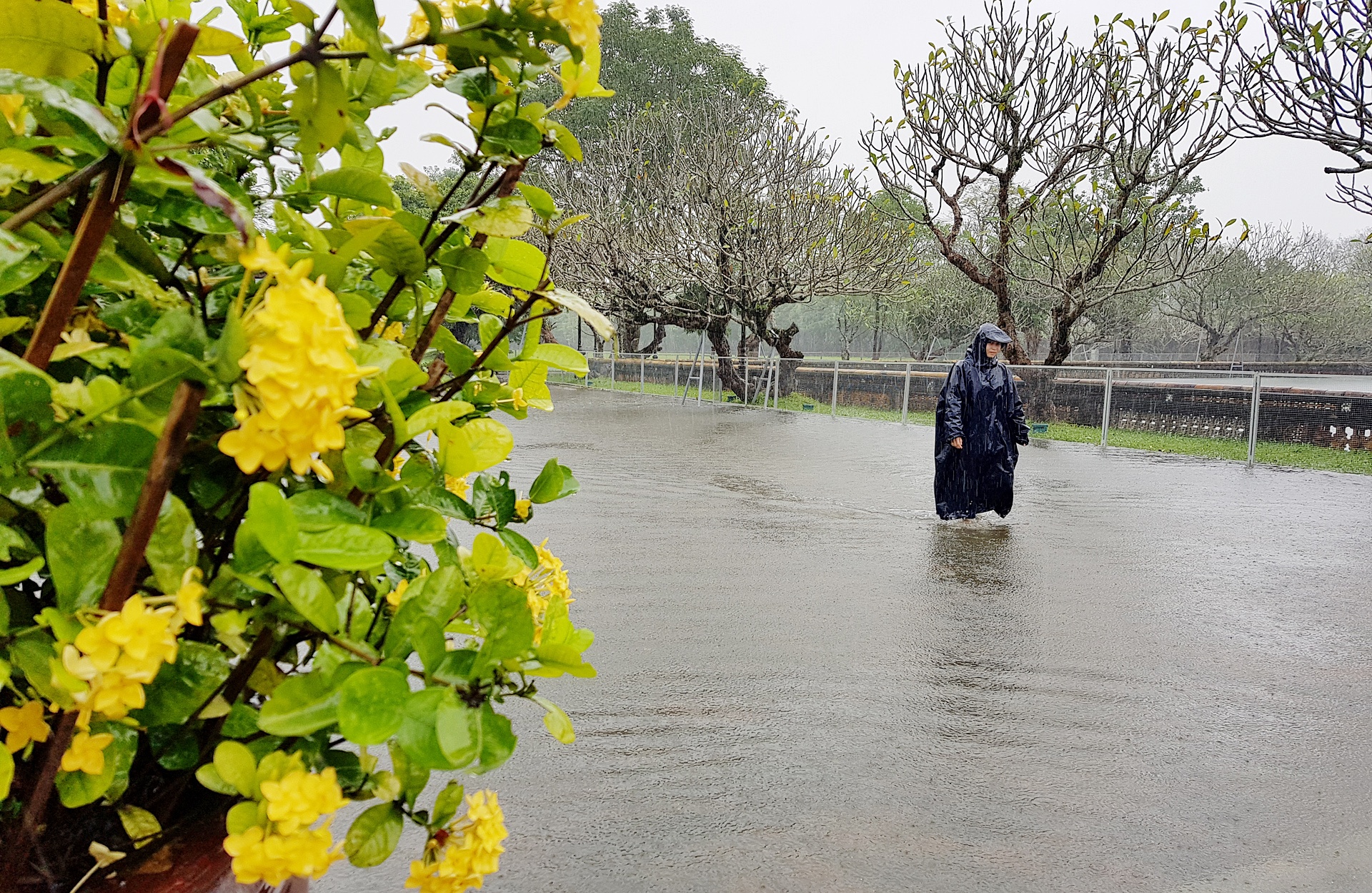 du khach loi nuoc trong dai noi Hue anh 8