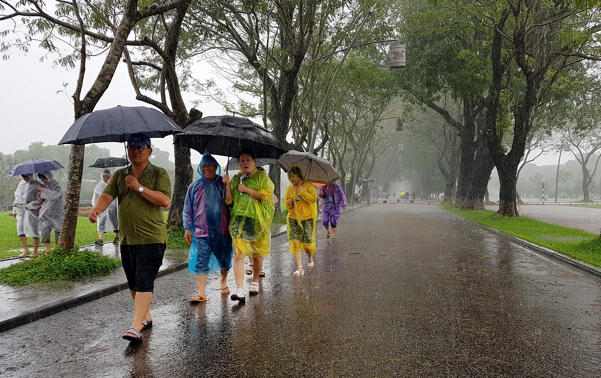 du khach loi nuoc trong dai noi Hue anh 10