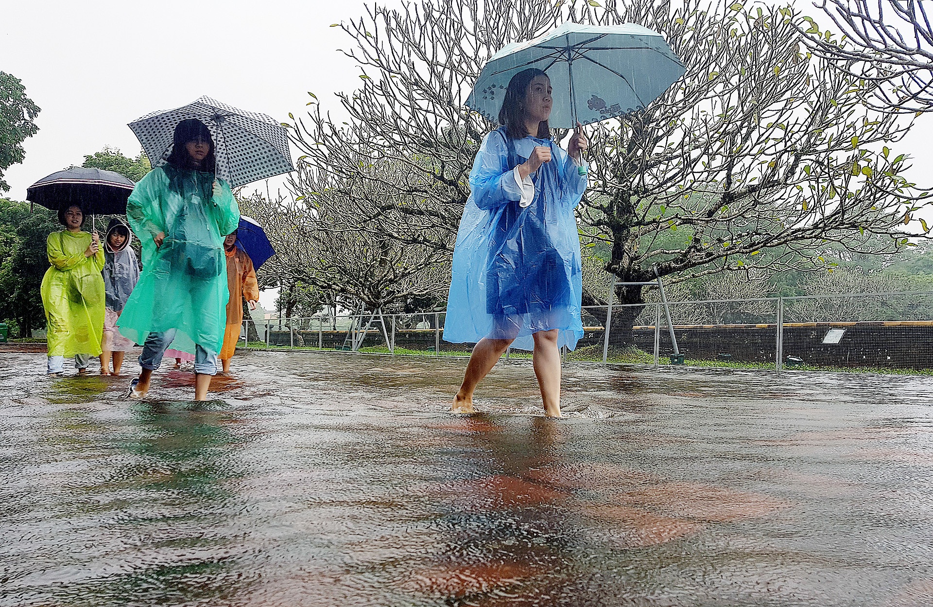 Du khach nuoc ngoai thich thu loi nuoc trong co do Hue hinh anh