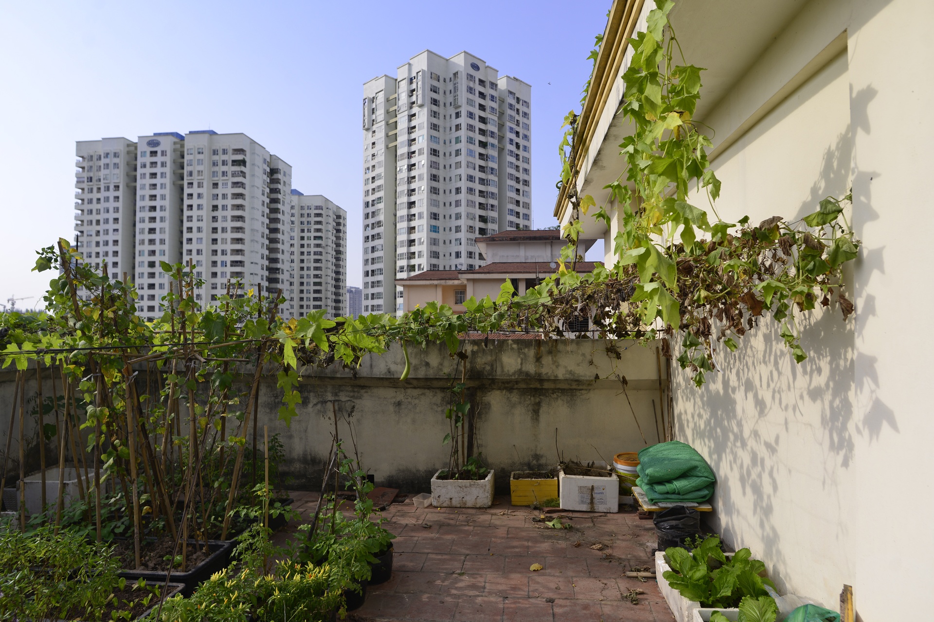 toa nha tai dinh cu tro thanh noi nuoi ga anh 15