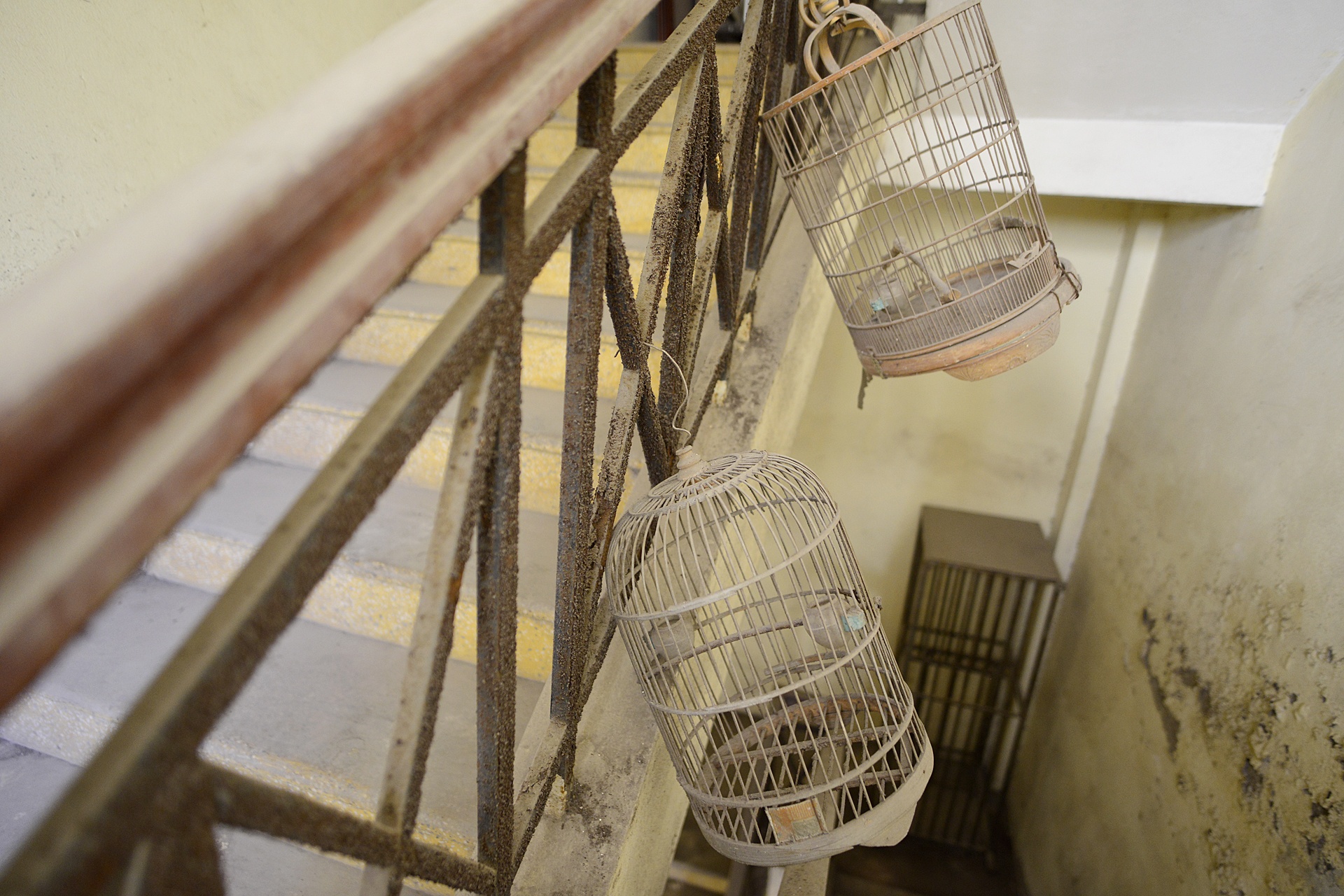 toa nha tai dinh cu tro thanh noi nuoi ga anh 16