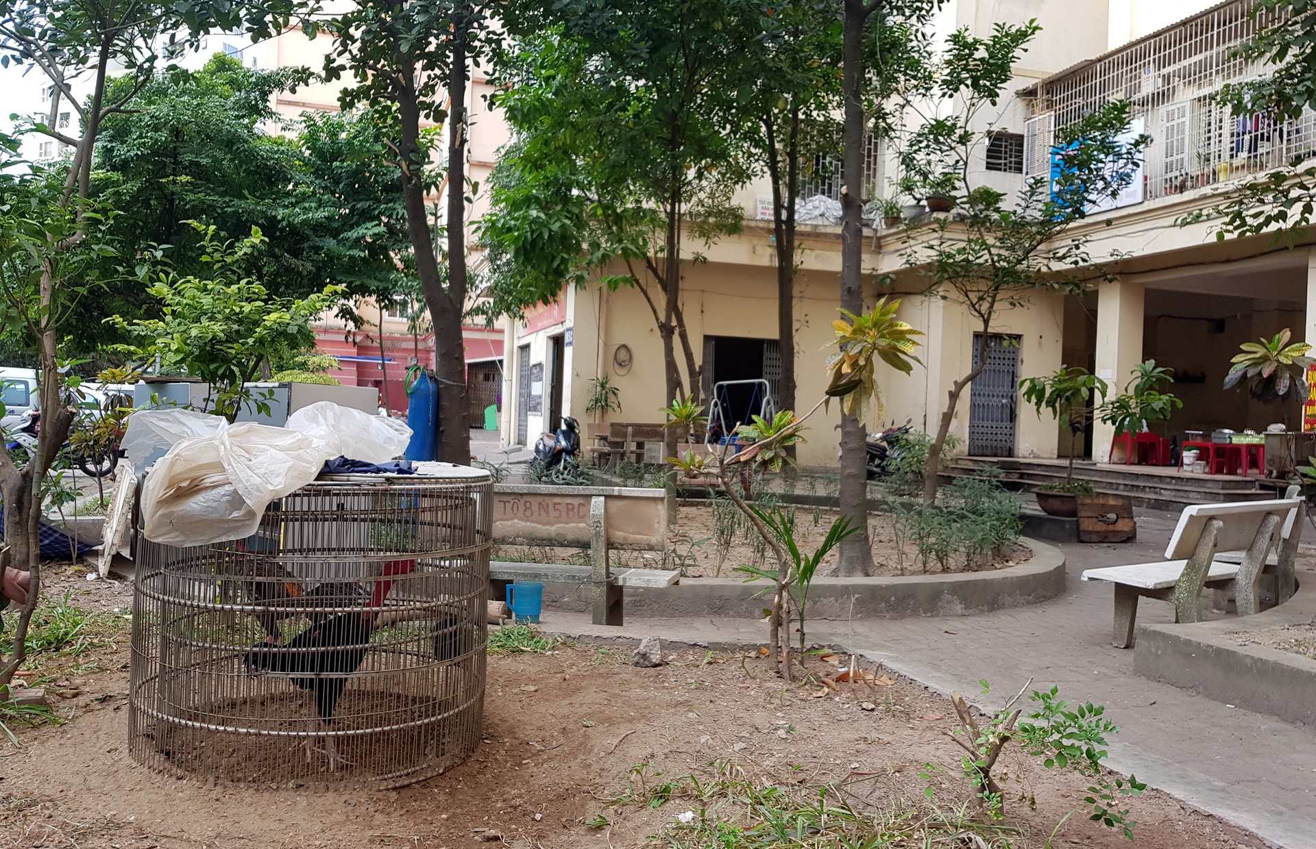 toa nha tai dinh cu tro thanh noi nuoi ga anh 9